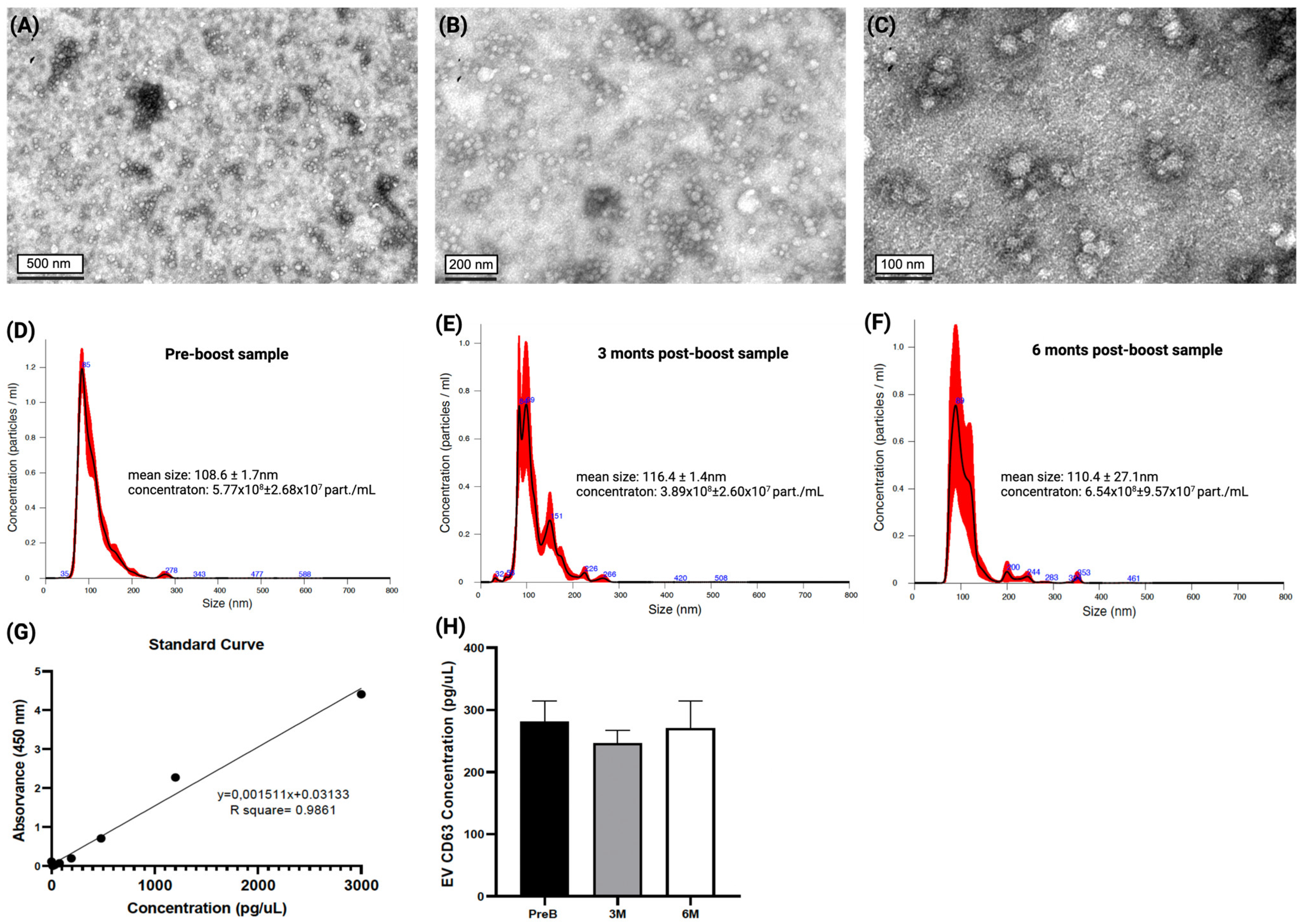 Vaccines 12 00848 g002