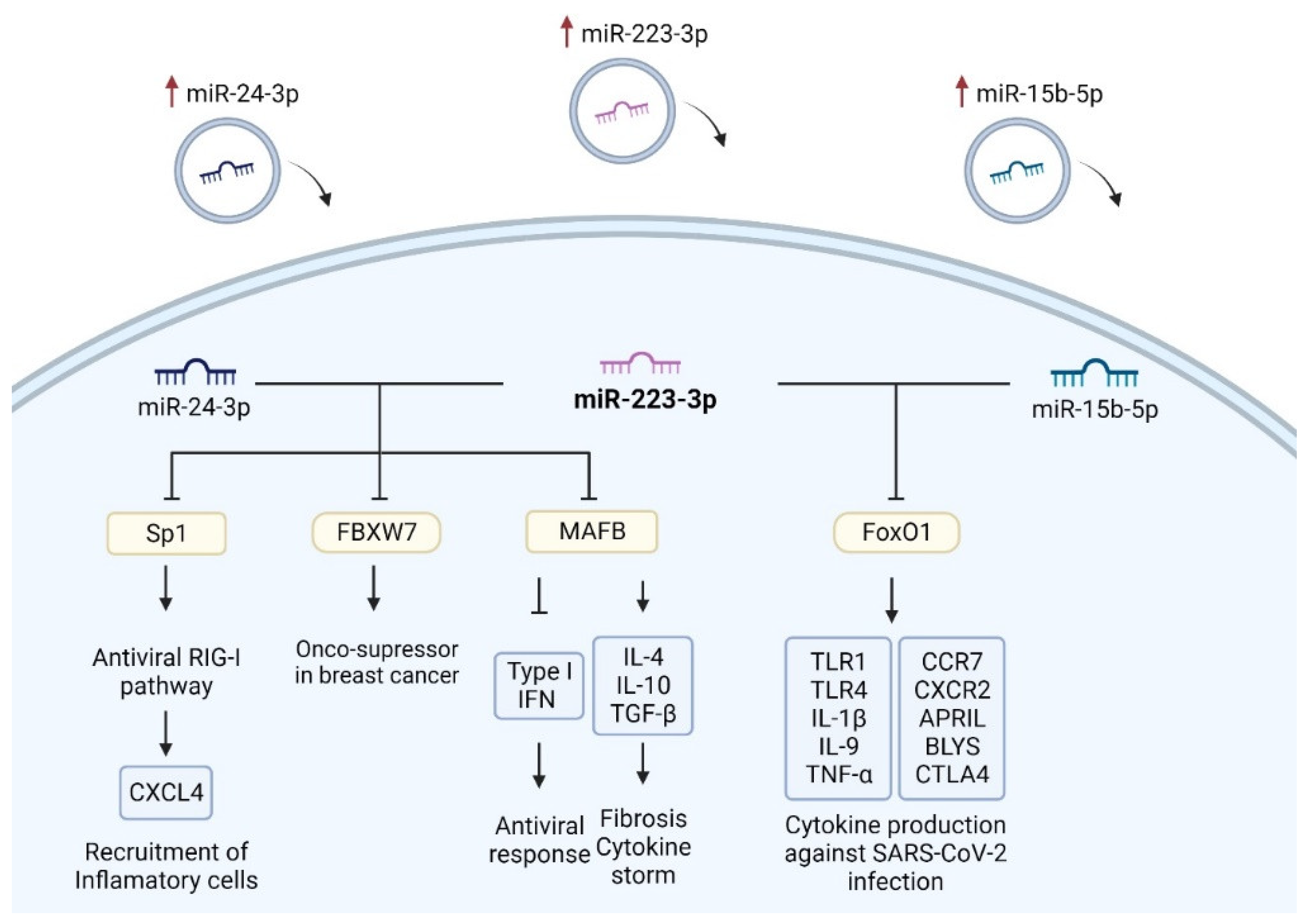 Vaccines 12 00848 g007