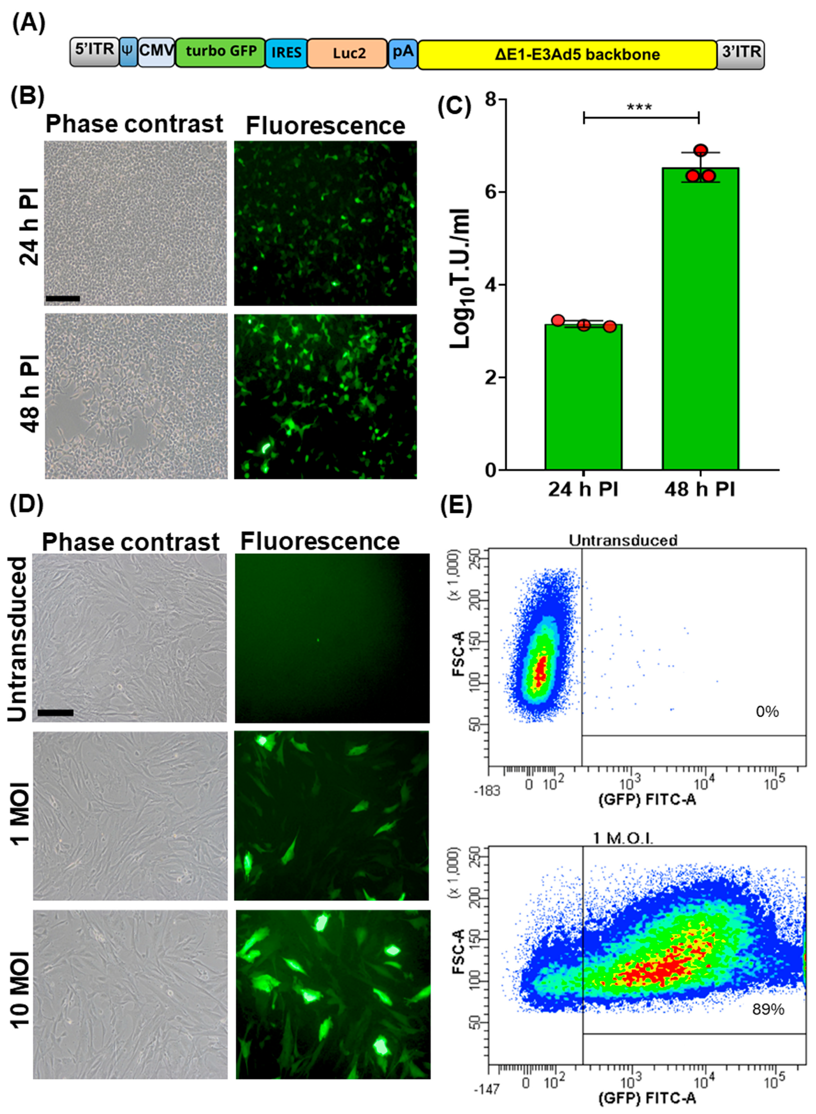 Vaccines 12 00851 g001 Vaccines 12 00851 g001