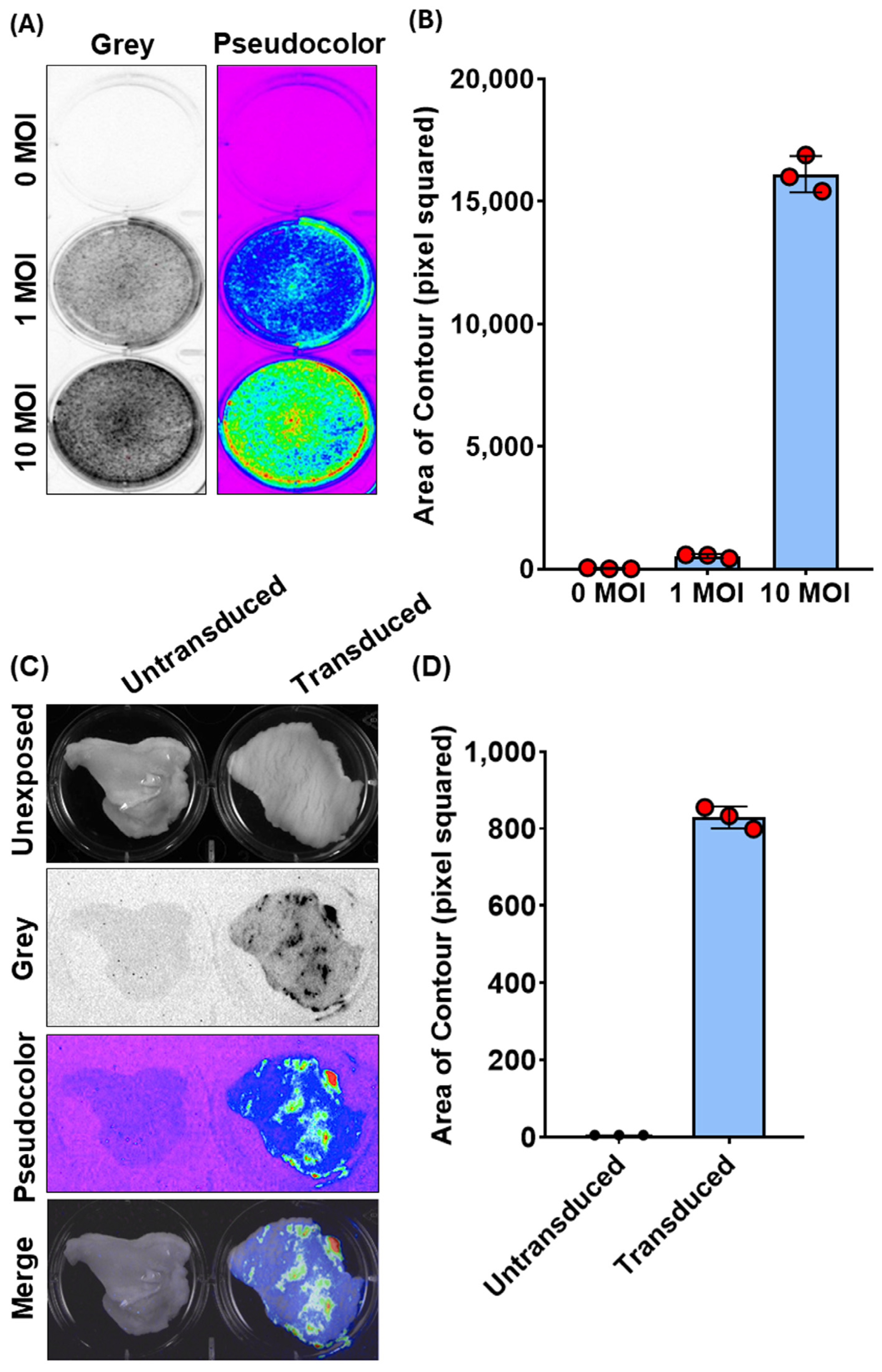 Vaccines 12 00851 g002 Vaccines 12 00851 g002