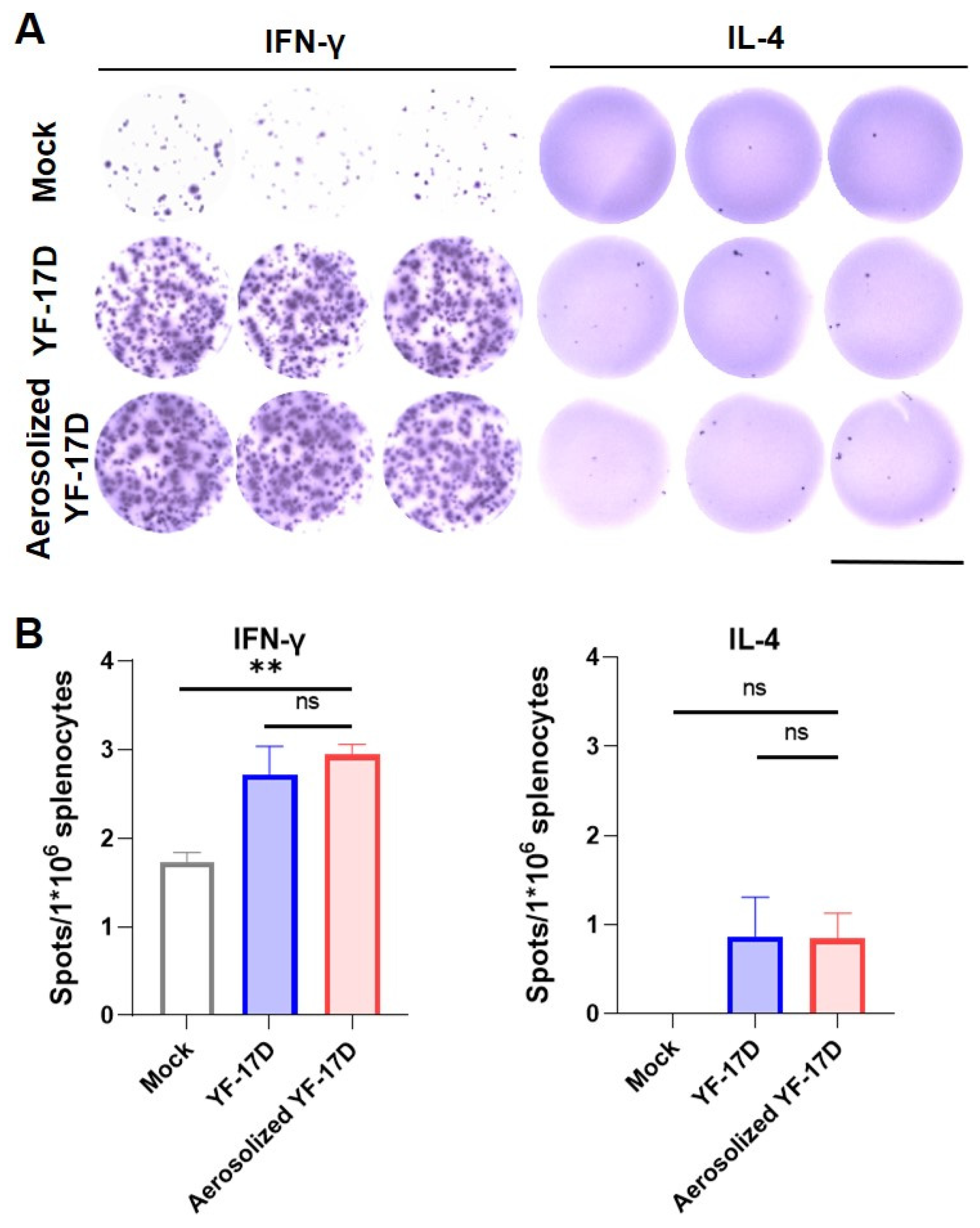 Vaccines 12 00856 g003