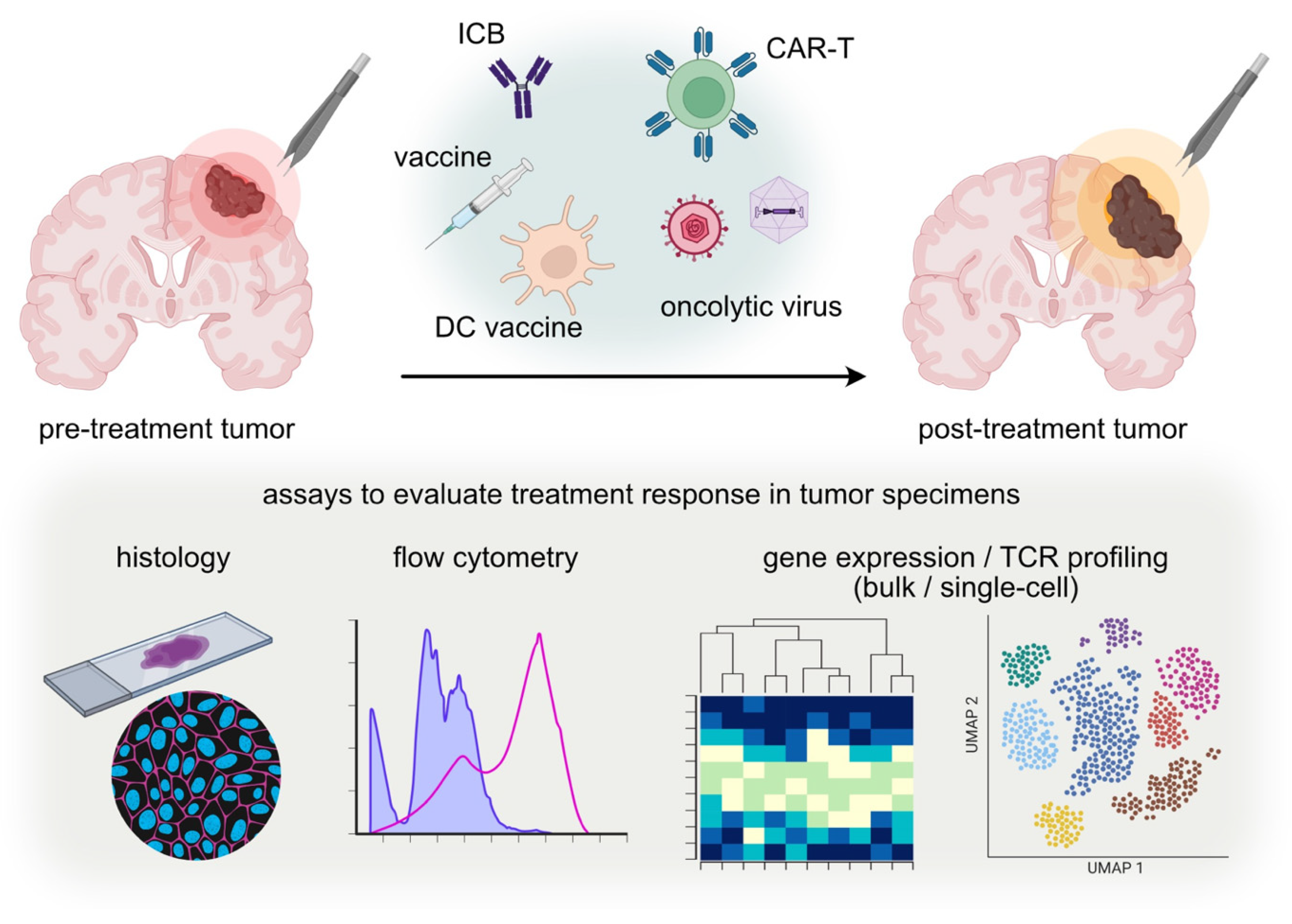Vaccines 12 00862 g001