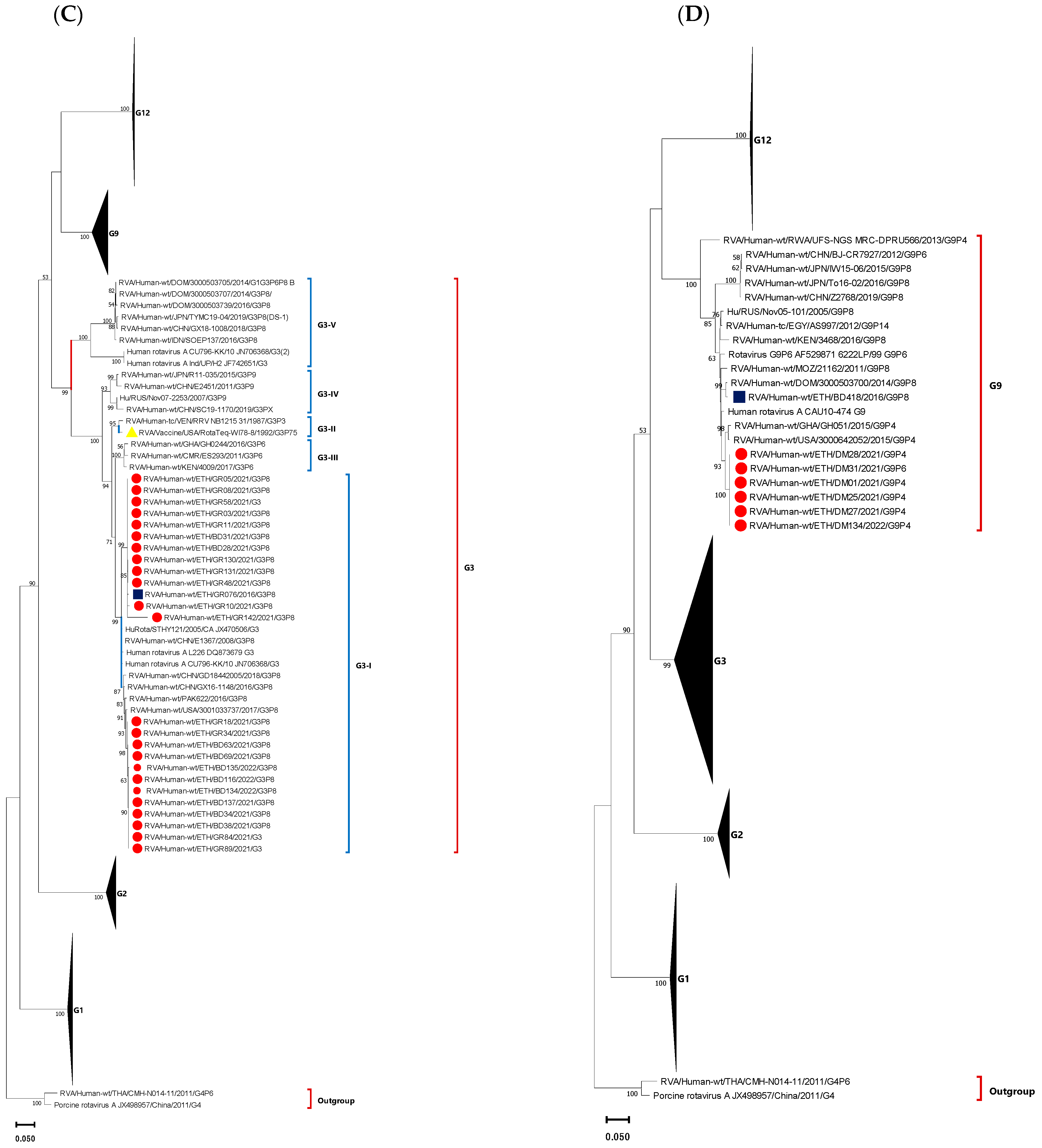 Vaccines 12 00866 g006b Vaccines 12 00866 g006b