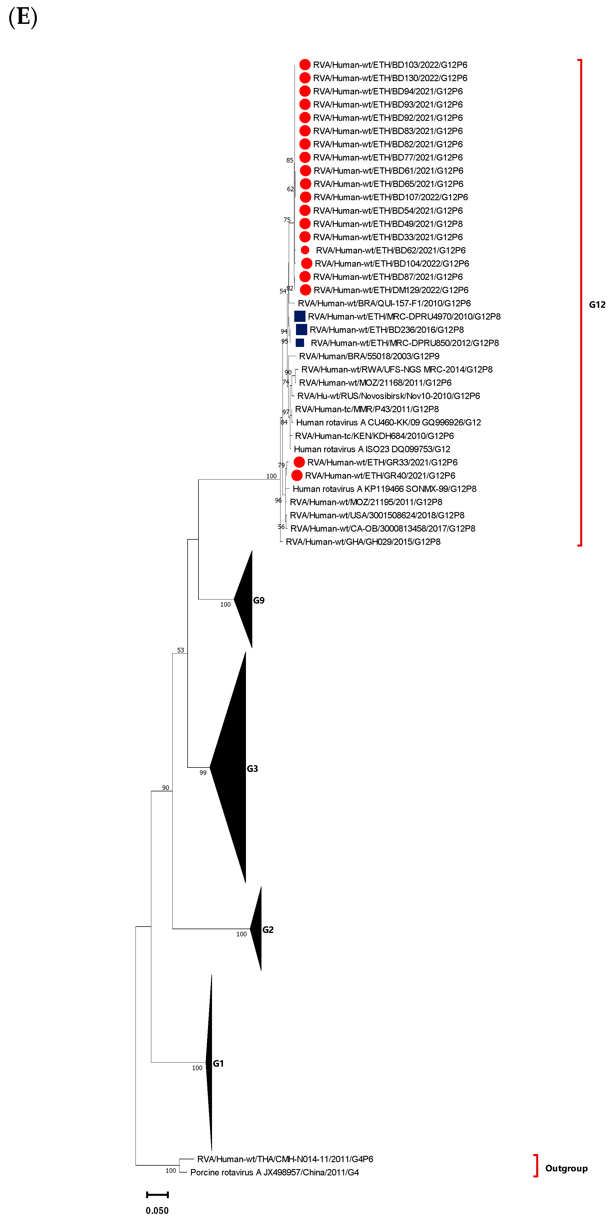 Vaccines 12 00866 g006c Vaccines 12 00866 g006c