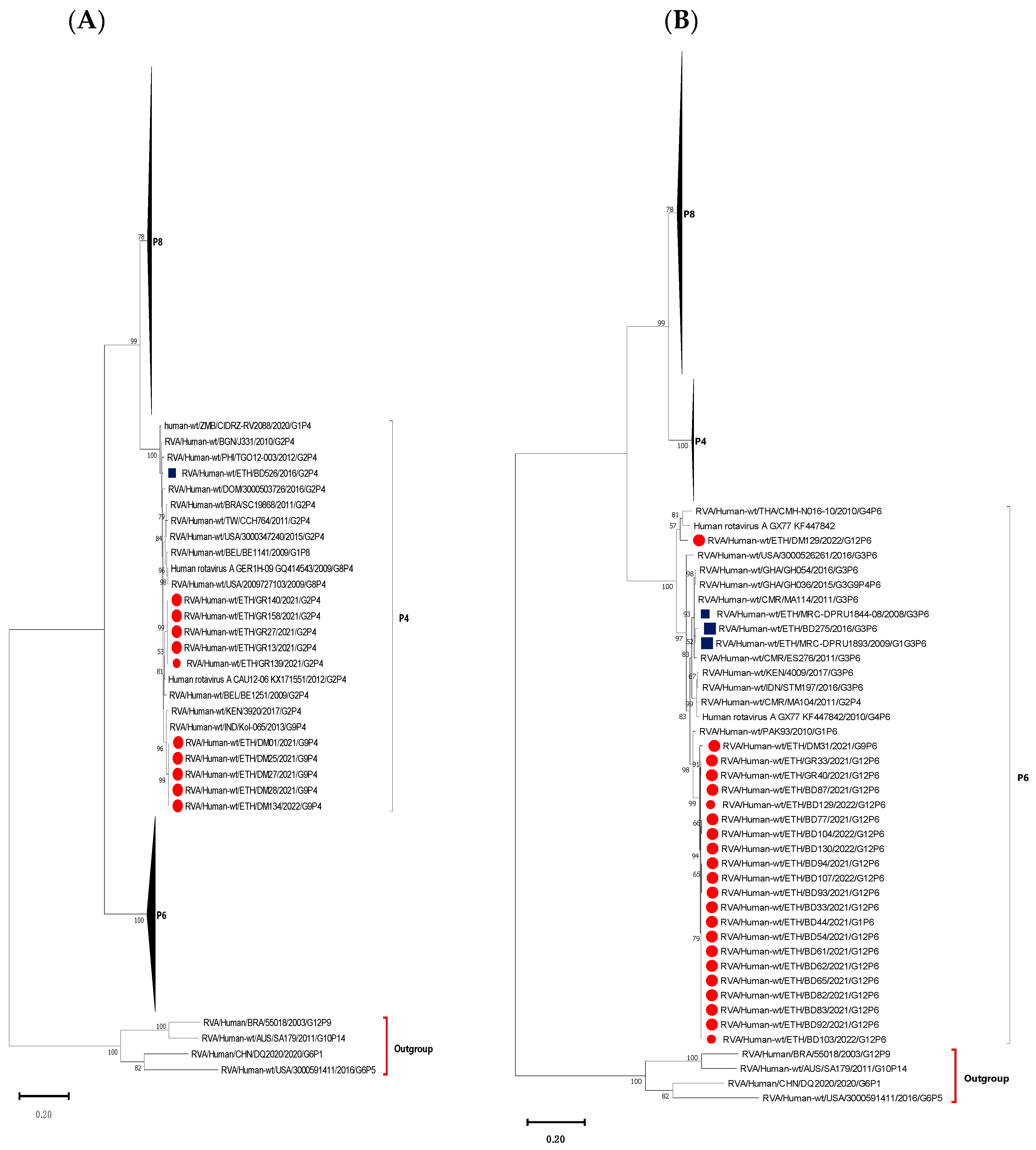 Vaccines 12 00866 g007a Vaccines 12 00866 g007a