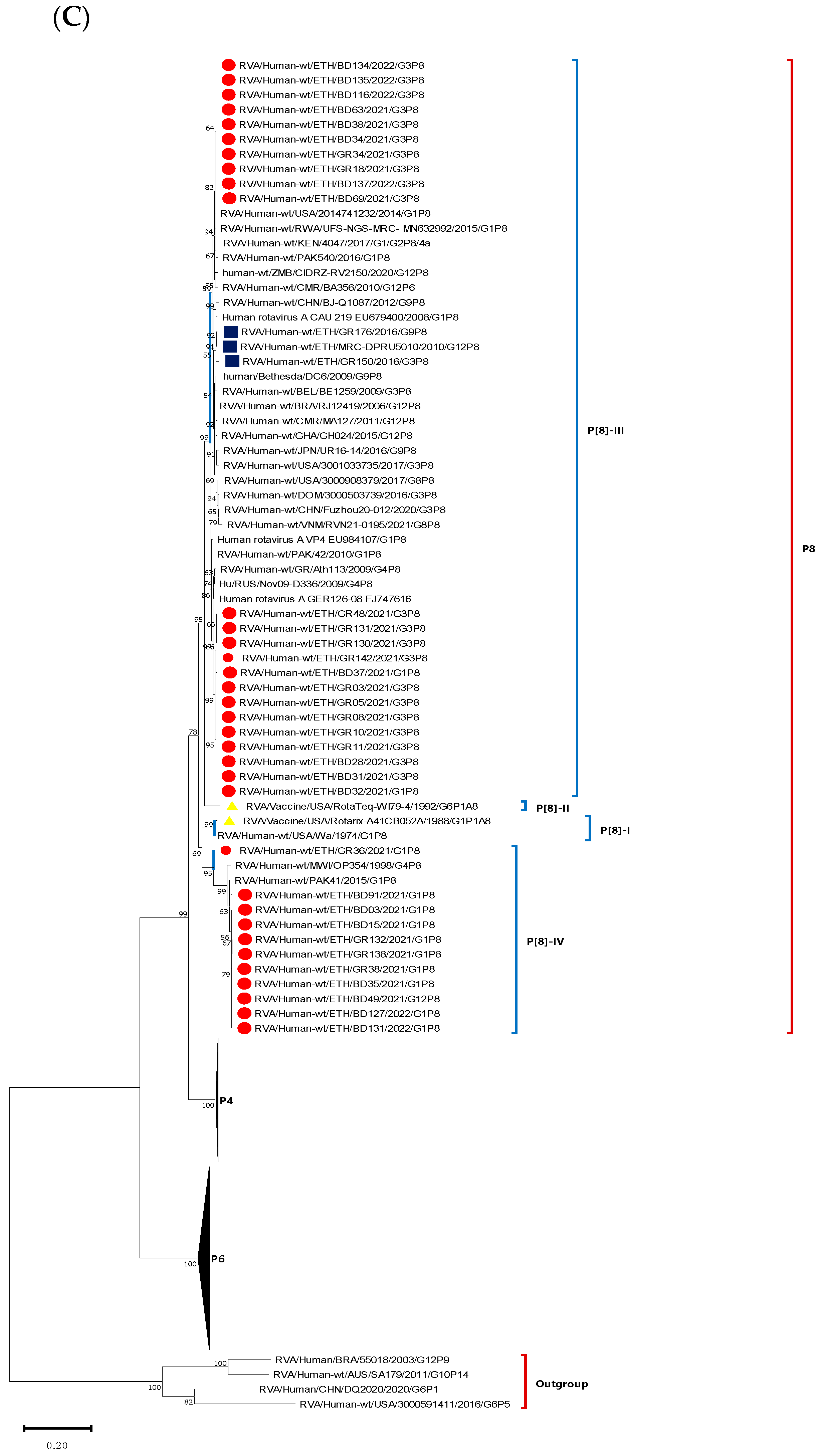 Vaccines 12 00866 g007b Vaccines 12 00866 g007b