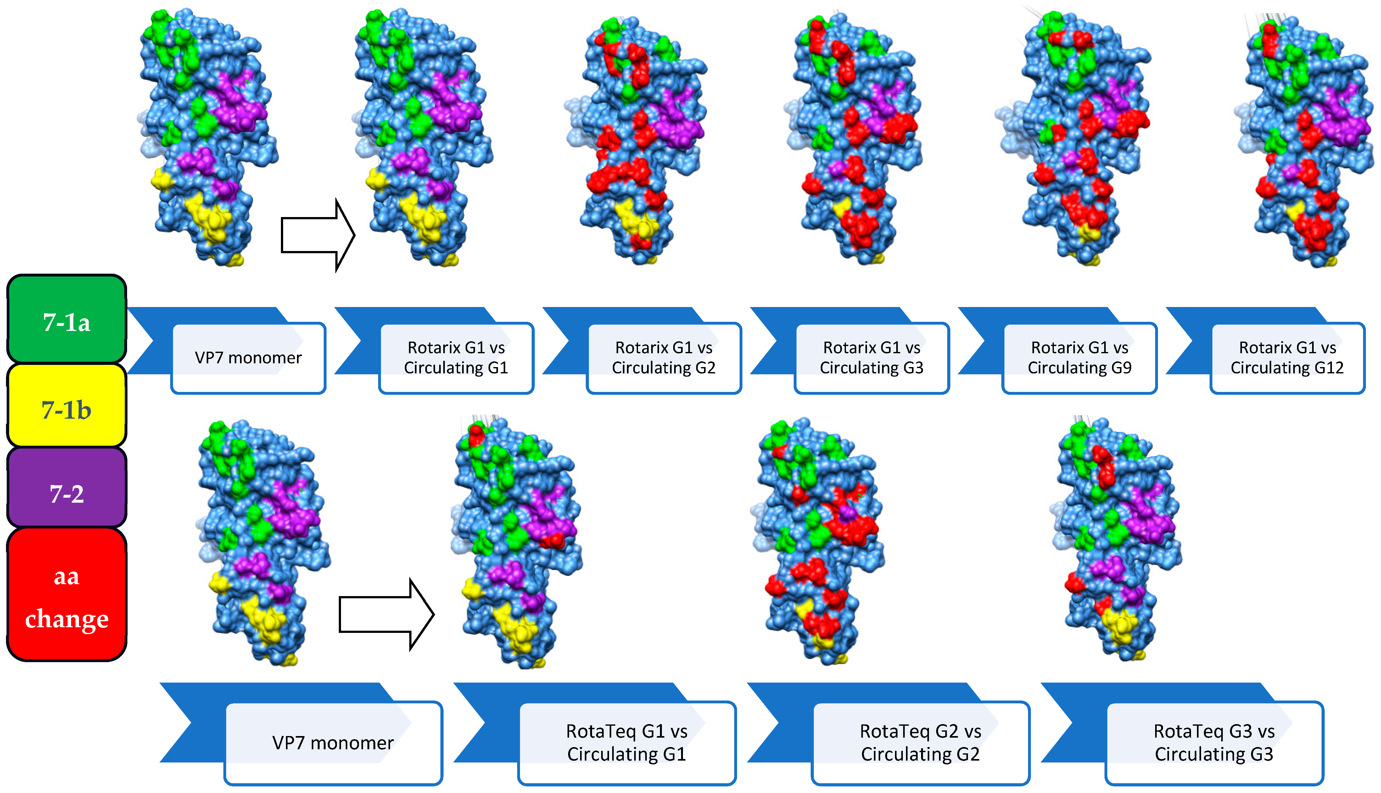 Vaccines 12 00866 g008 Vaccines 12 00866 g008