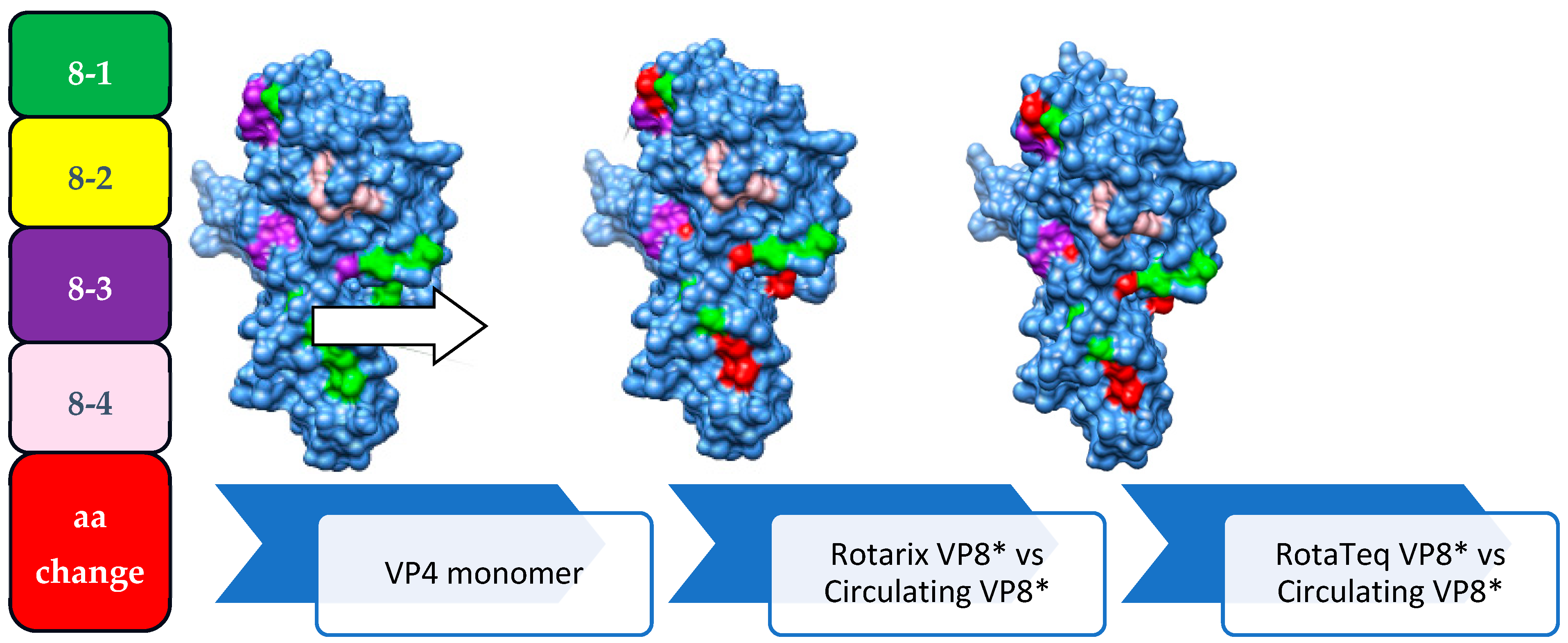 Vaccines 12 00866 g009 Vaccines 12 00866 g009