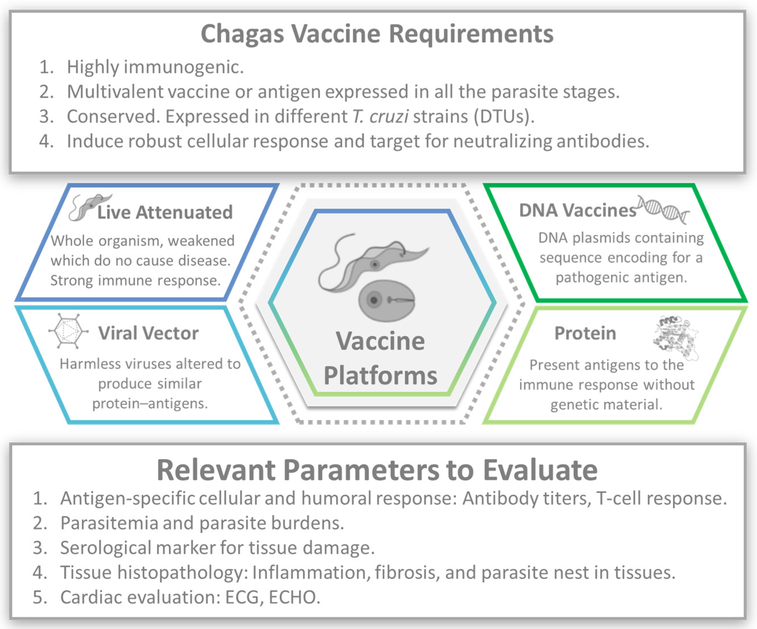 Vaccines 12 00870 g001