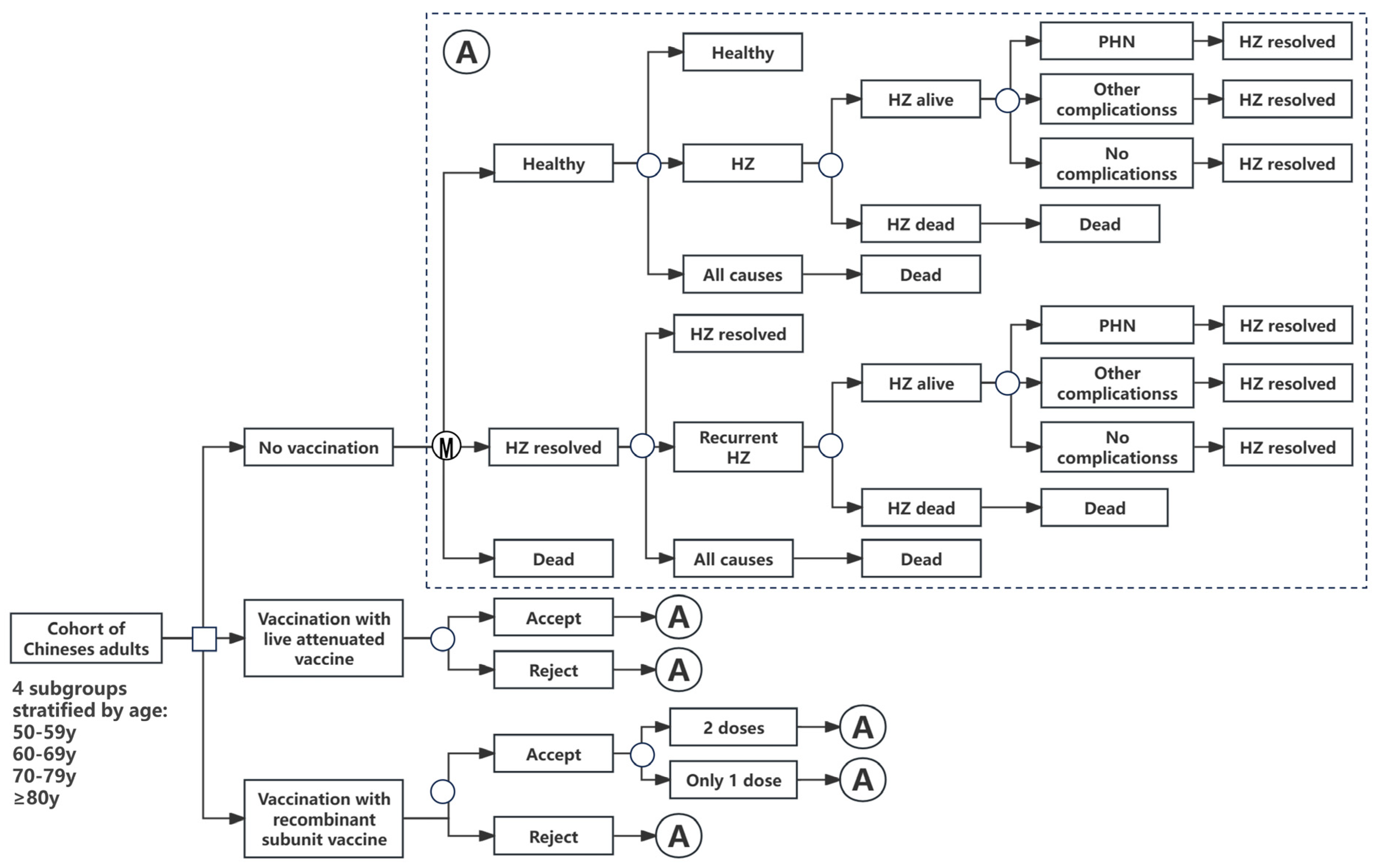 Vaccines 12 00872 g001