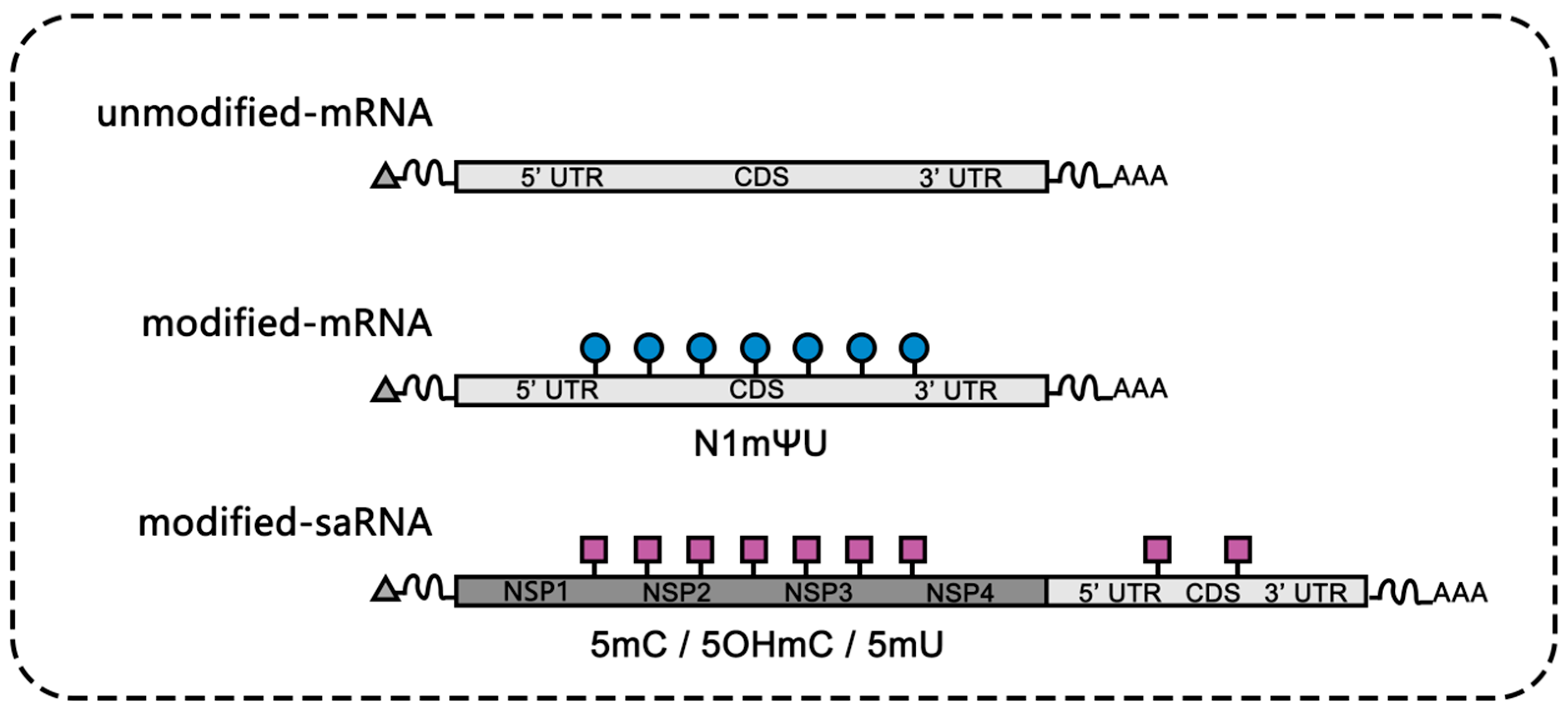 Vaccines 12 00873 g002