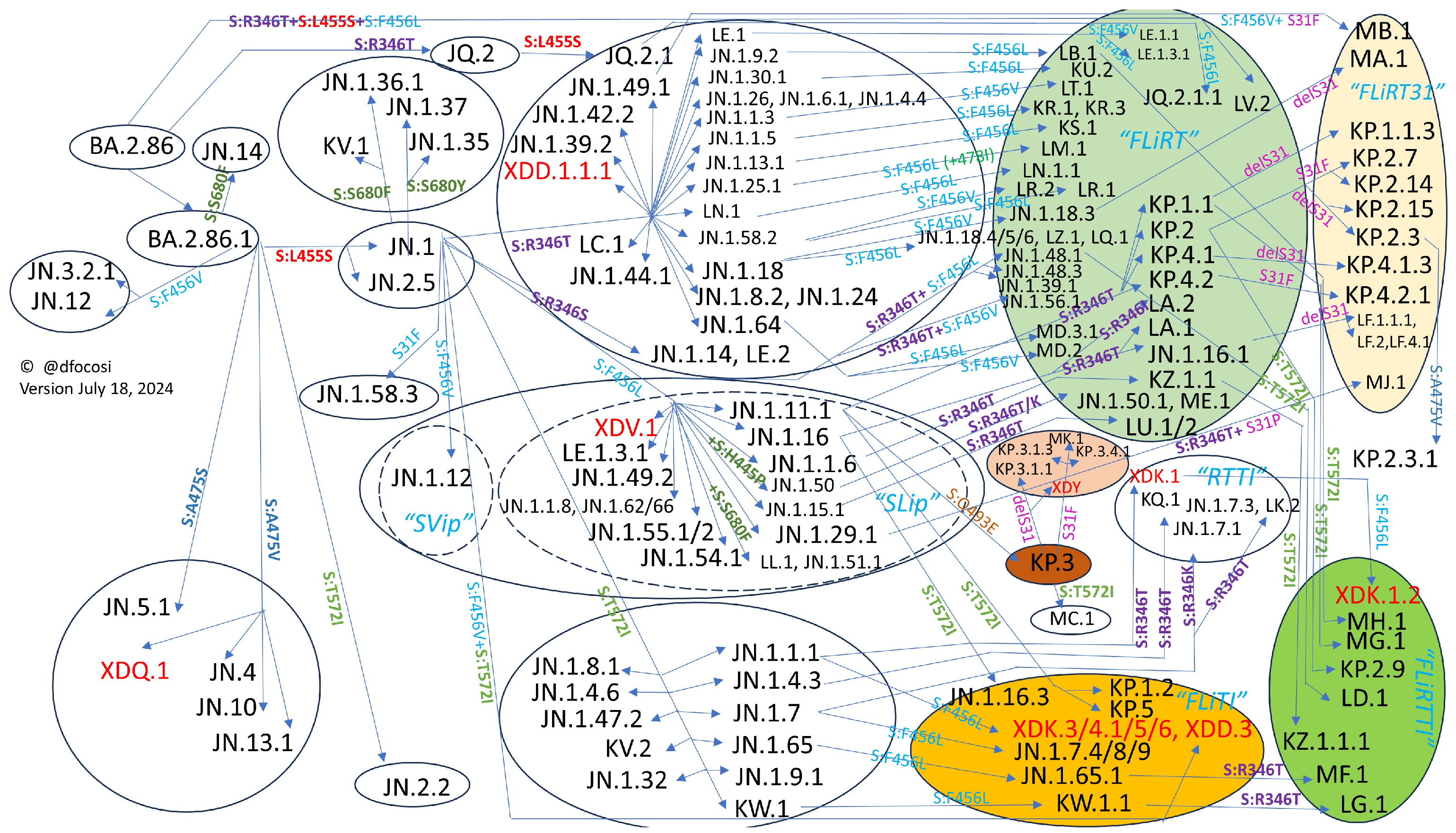 Vaccines 12 00887 g004