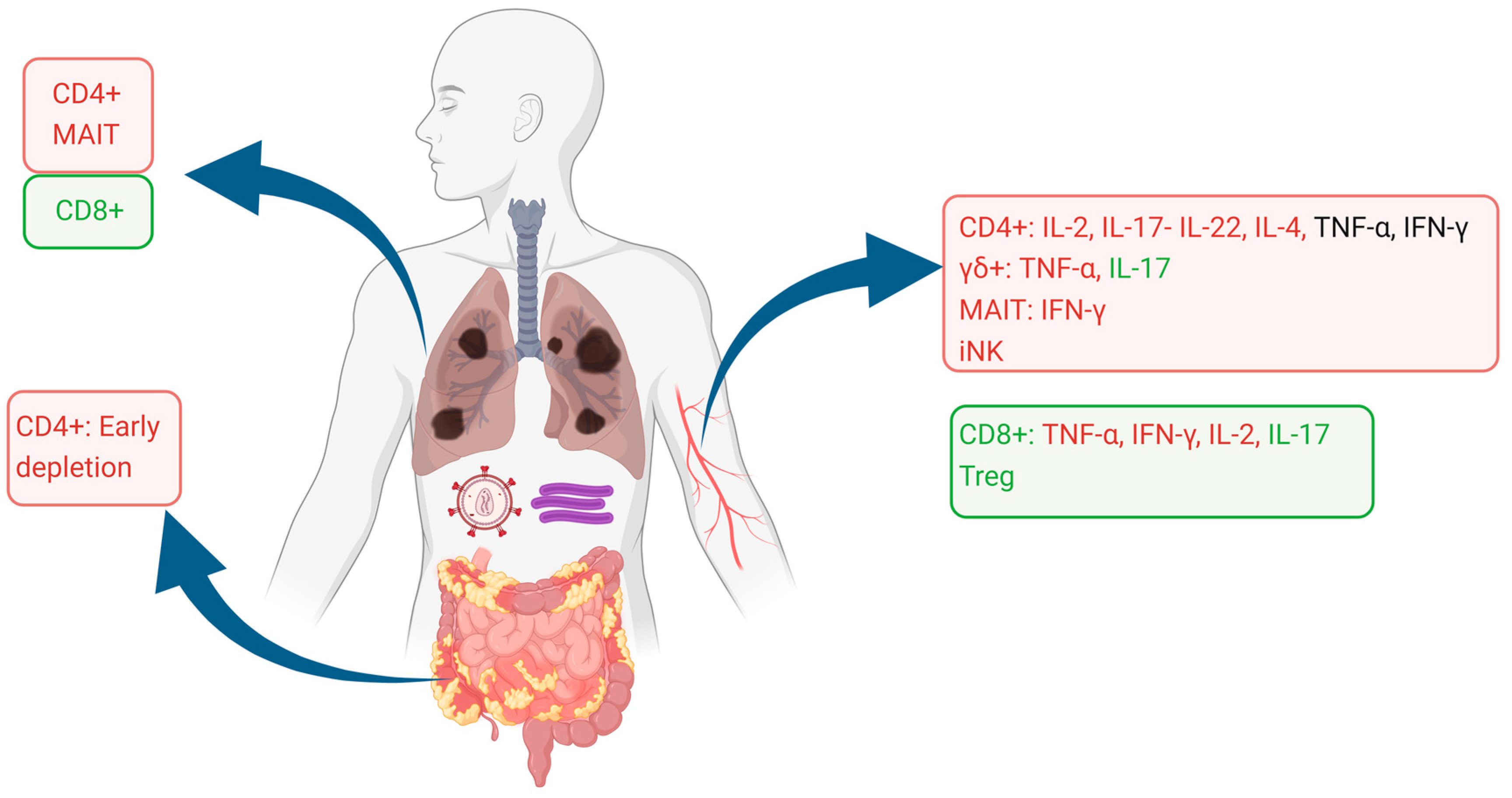 Vaccines 12 00901 g001