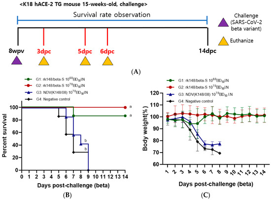 Vaccines 12 00921 g002a