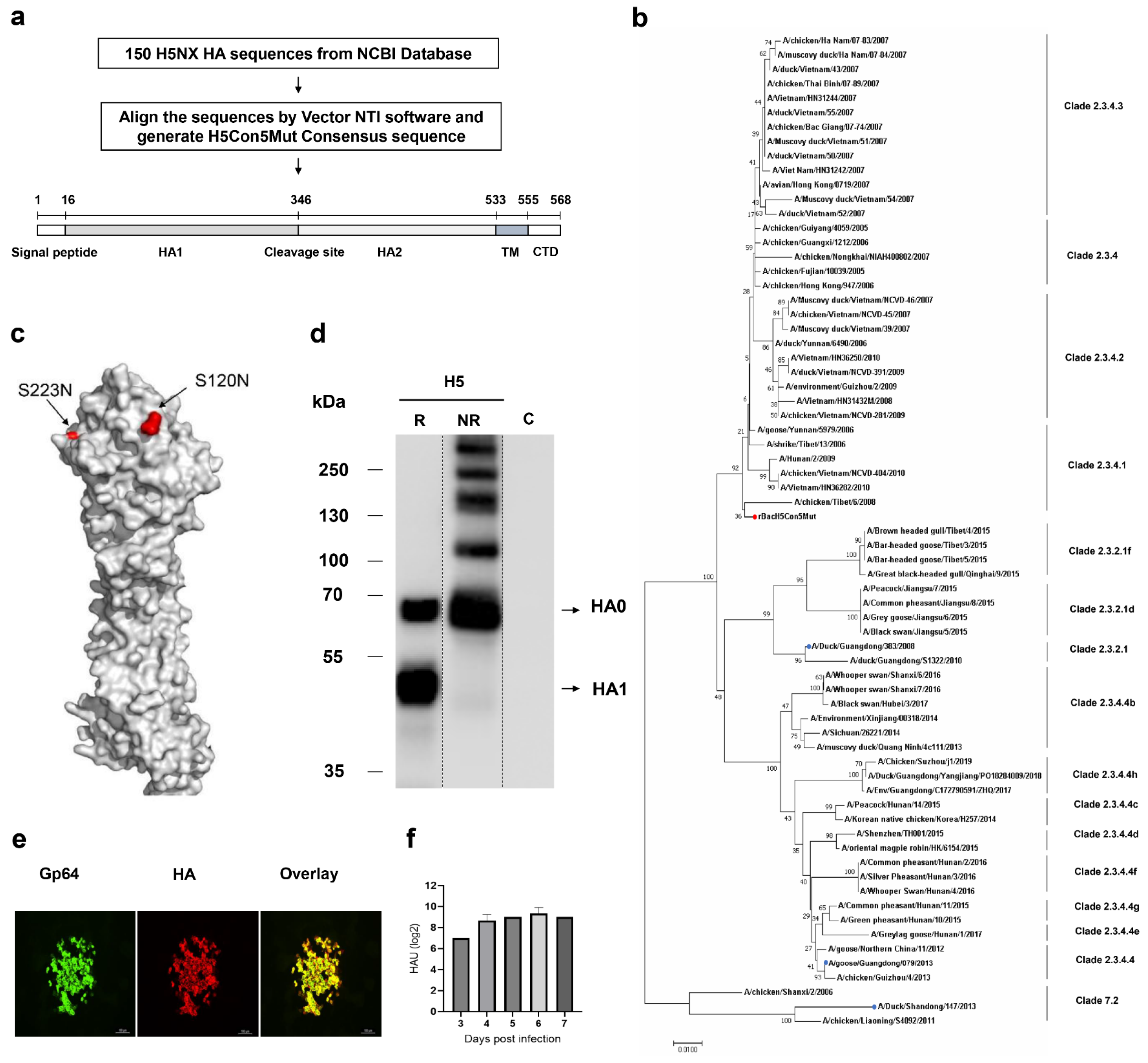 Vaccines 12 00932 g001