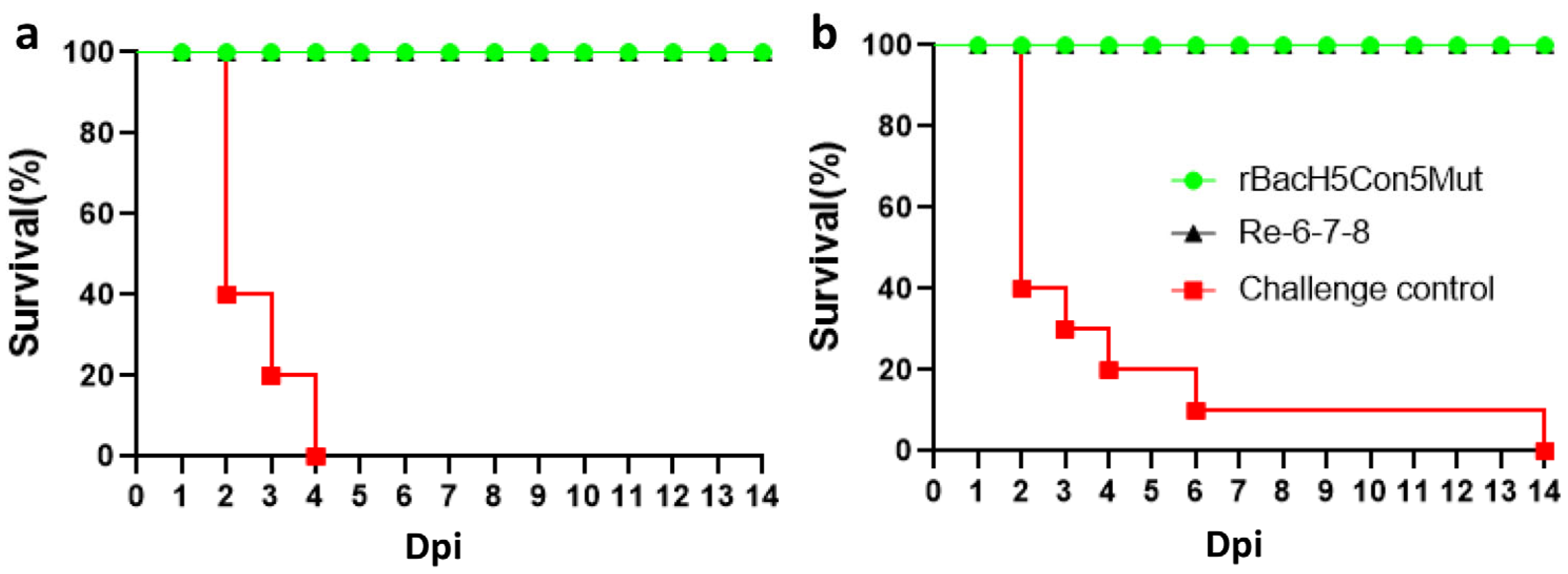 Vaccines 12 00932 g004