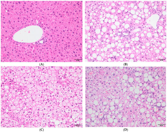 Vaccines 12 00934 g002