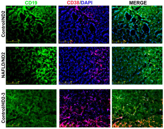Vaccines 12 00934 g004