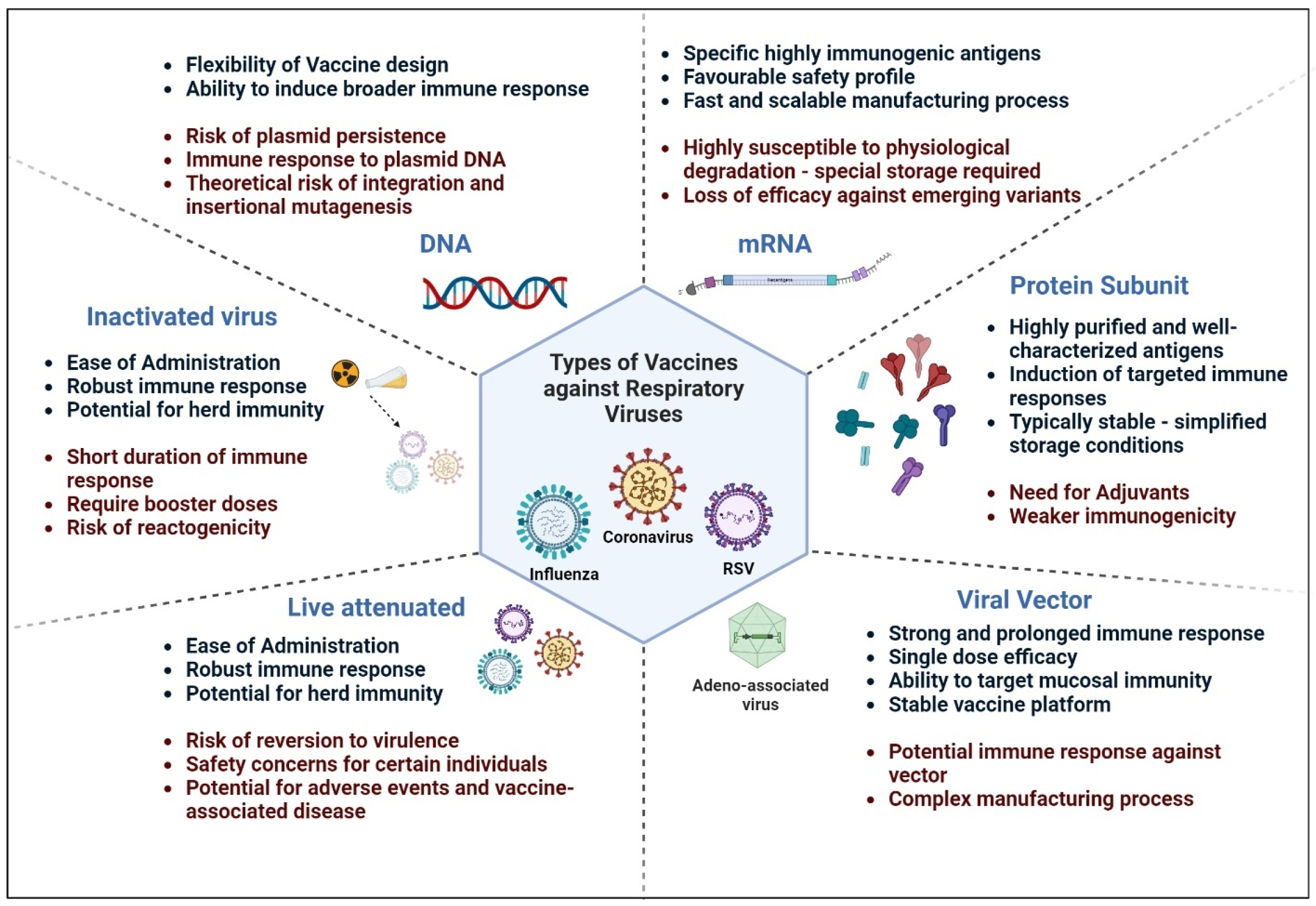 Vaccines 12 00936 g003
