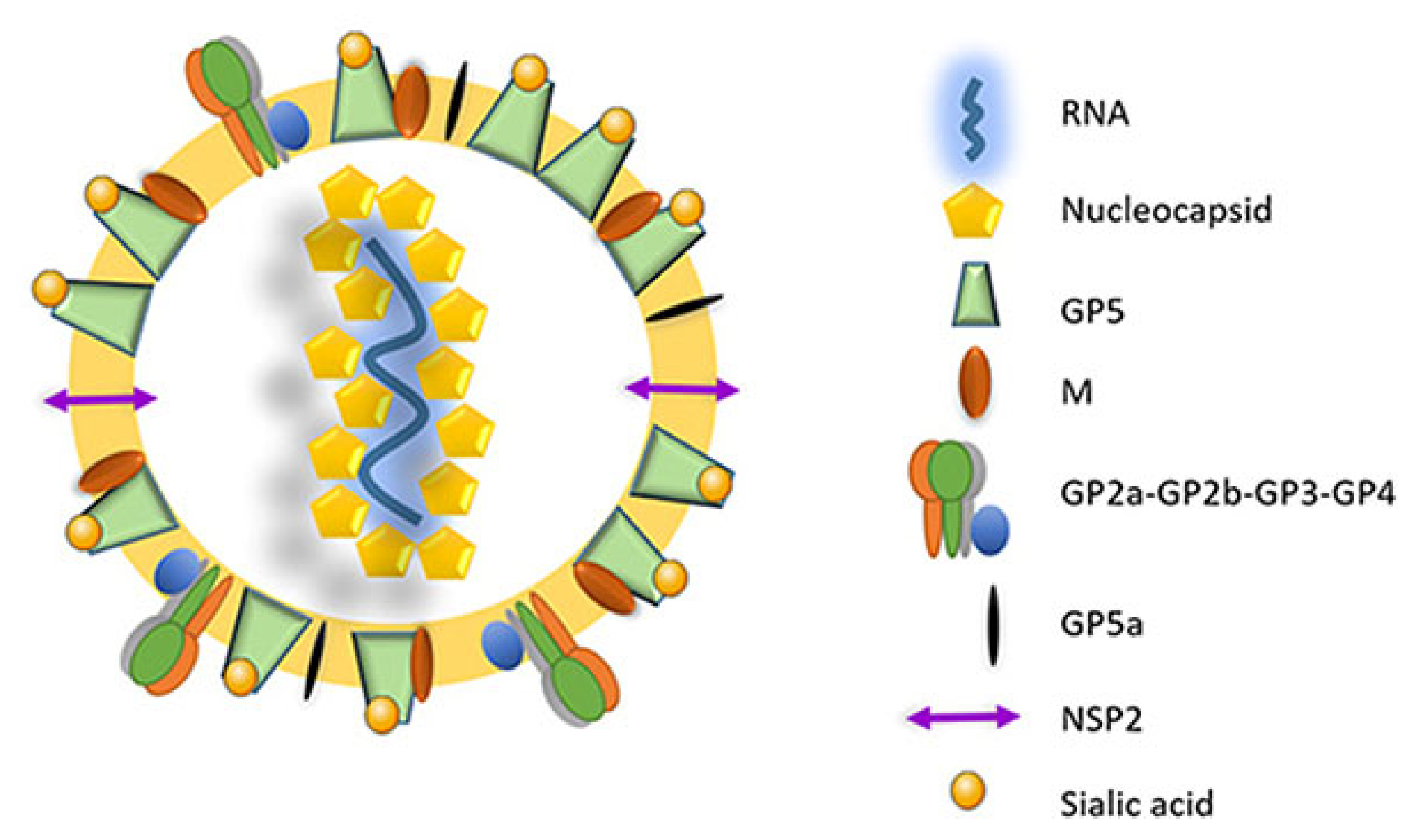 Vaccines 12 00942 g002 Vaccines 12 00942 g002