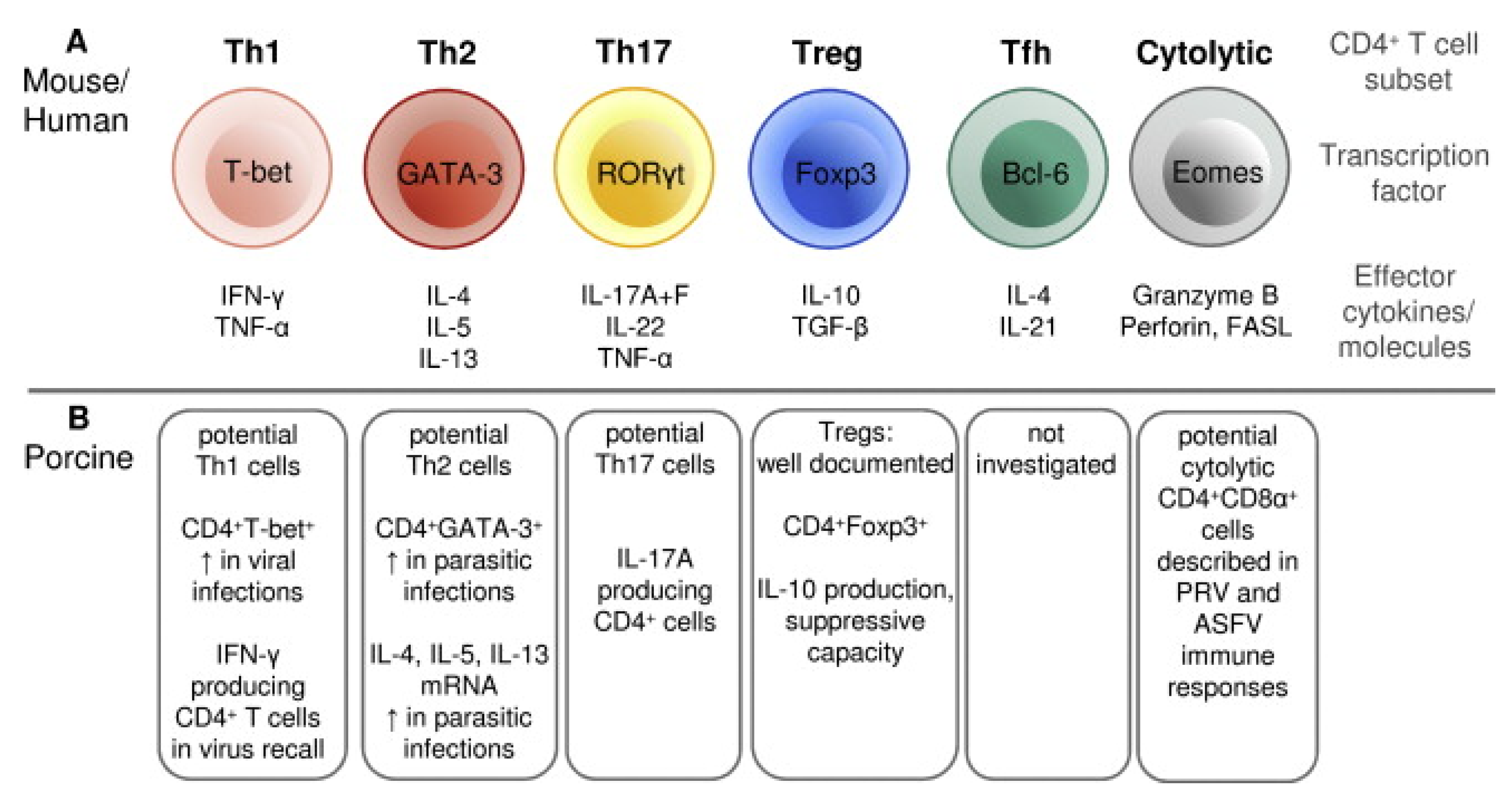 Vaccines 12 00942 g003 Vaccines 12 00942 g003