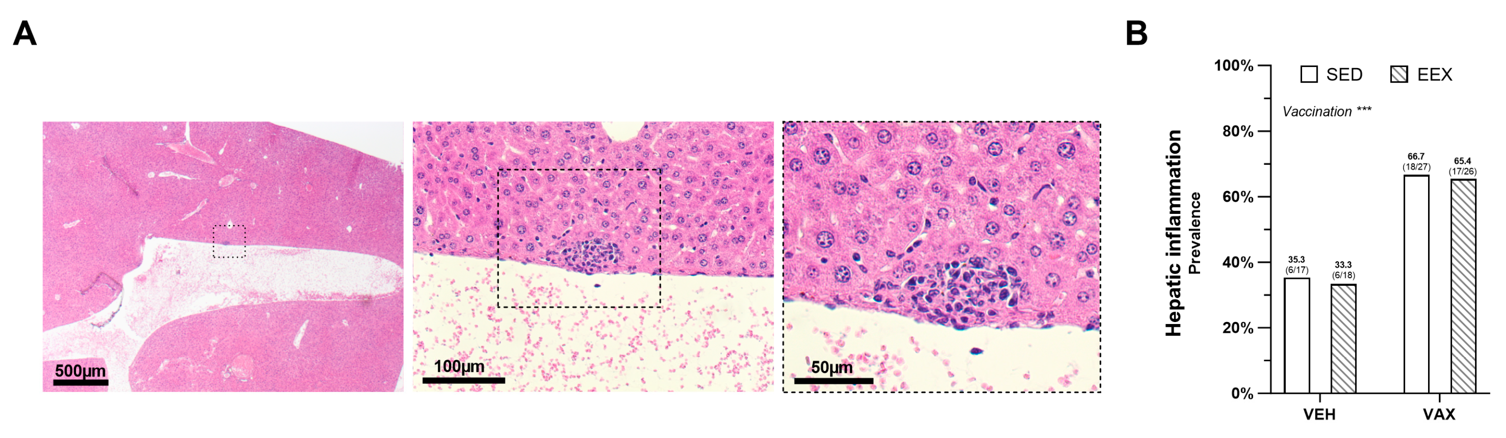 Vaccines 12 00966 g003