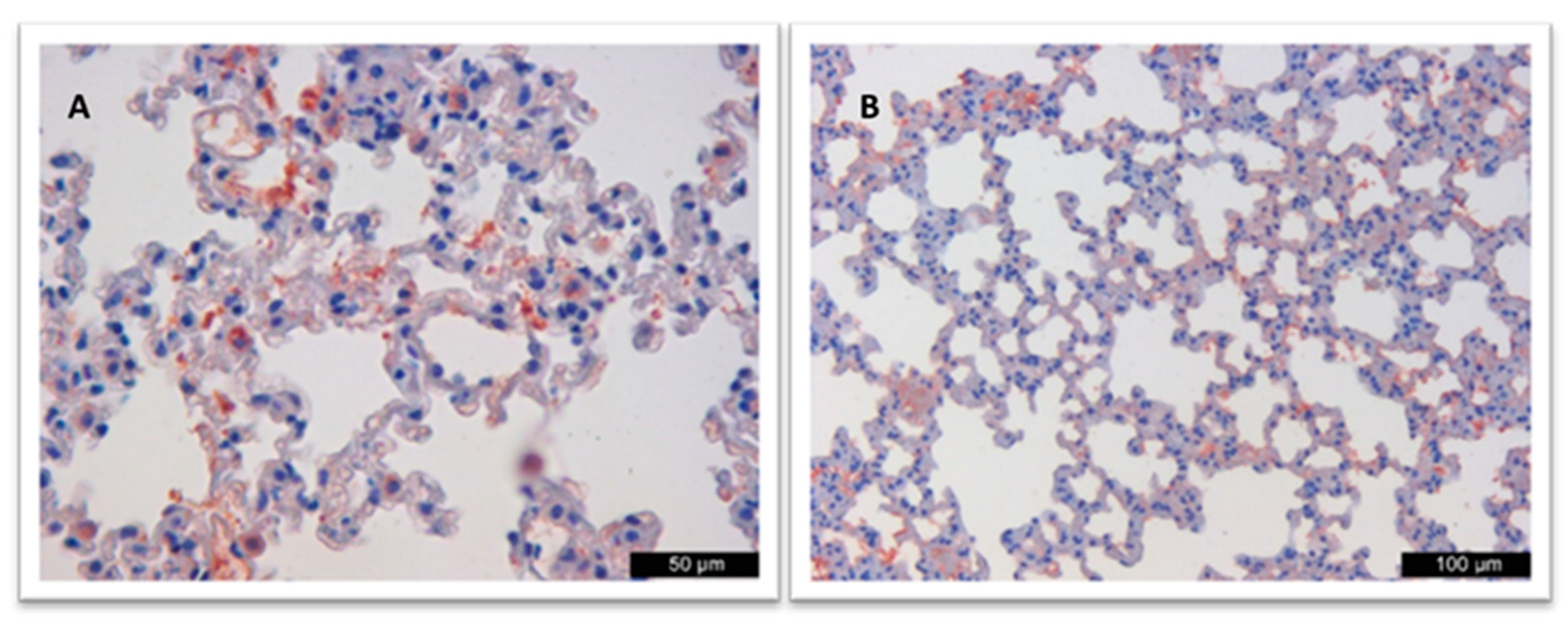 Vaccines 12 00977 g002