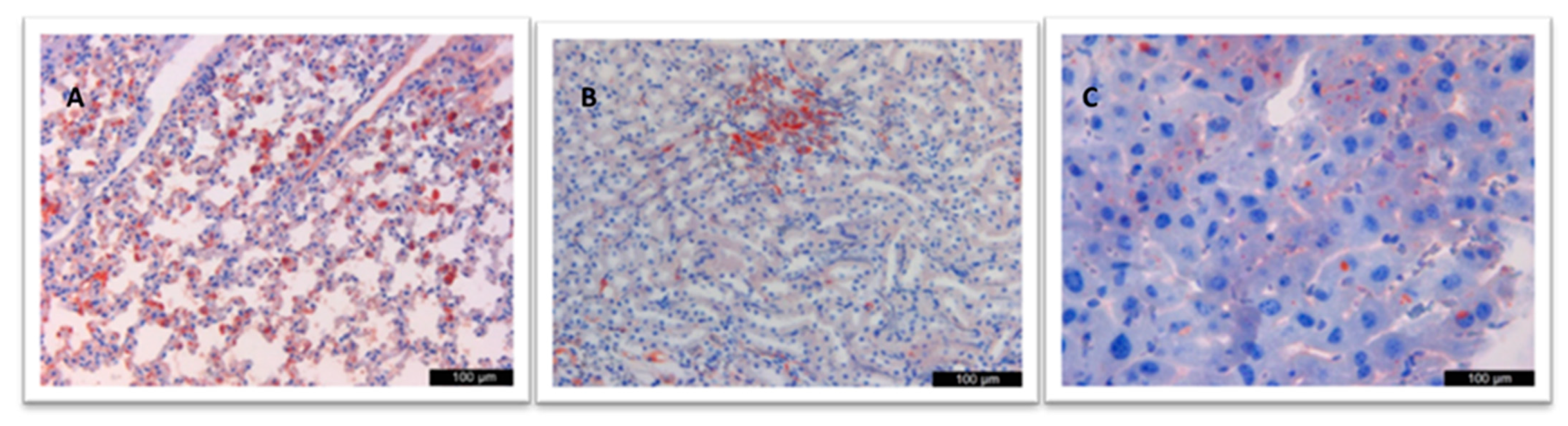 Vaccines 12 00977 g003