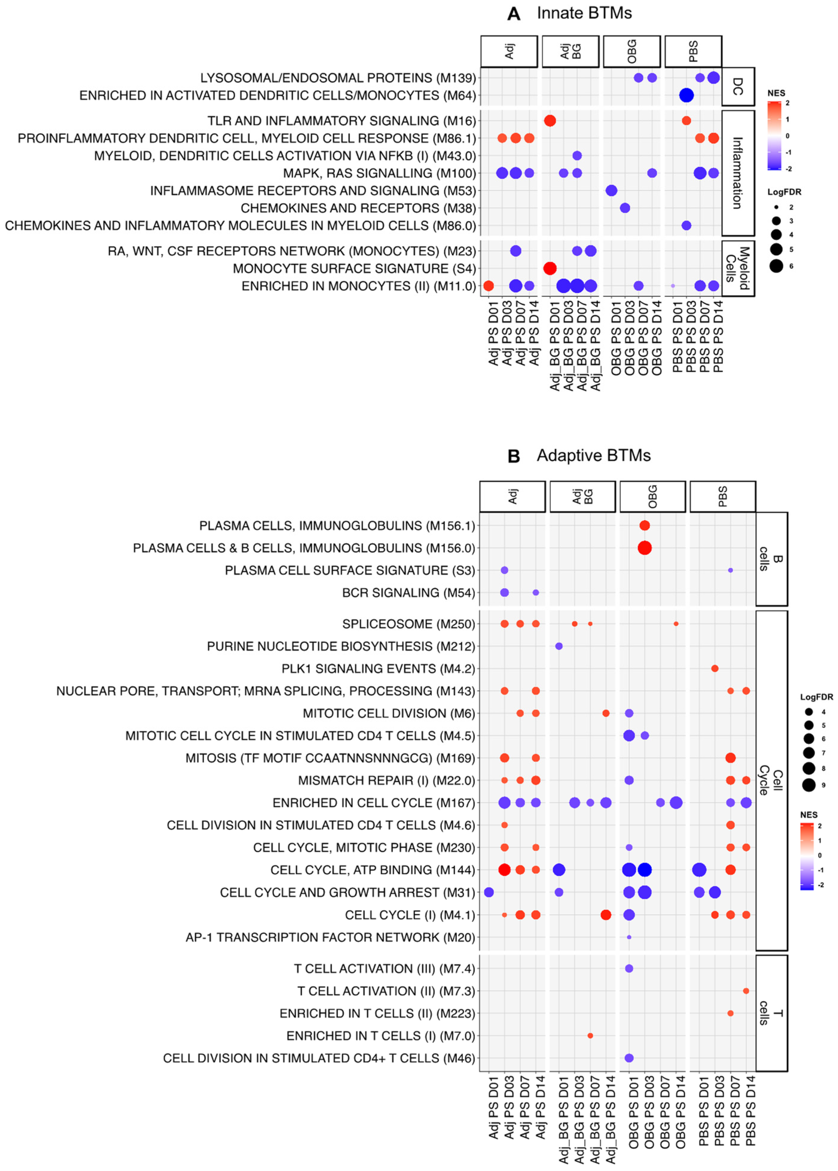 Vaccines 12 00982 g004