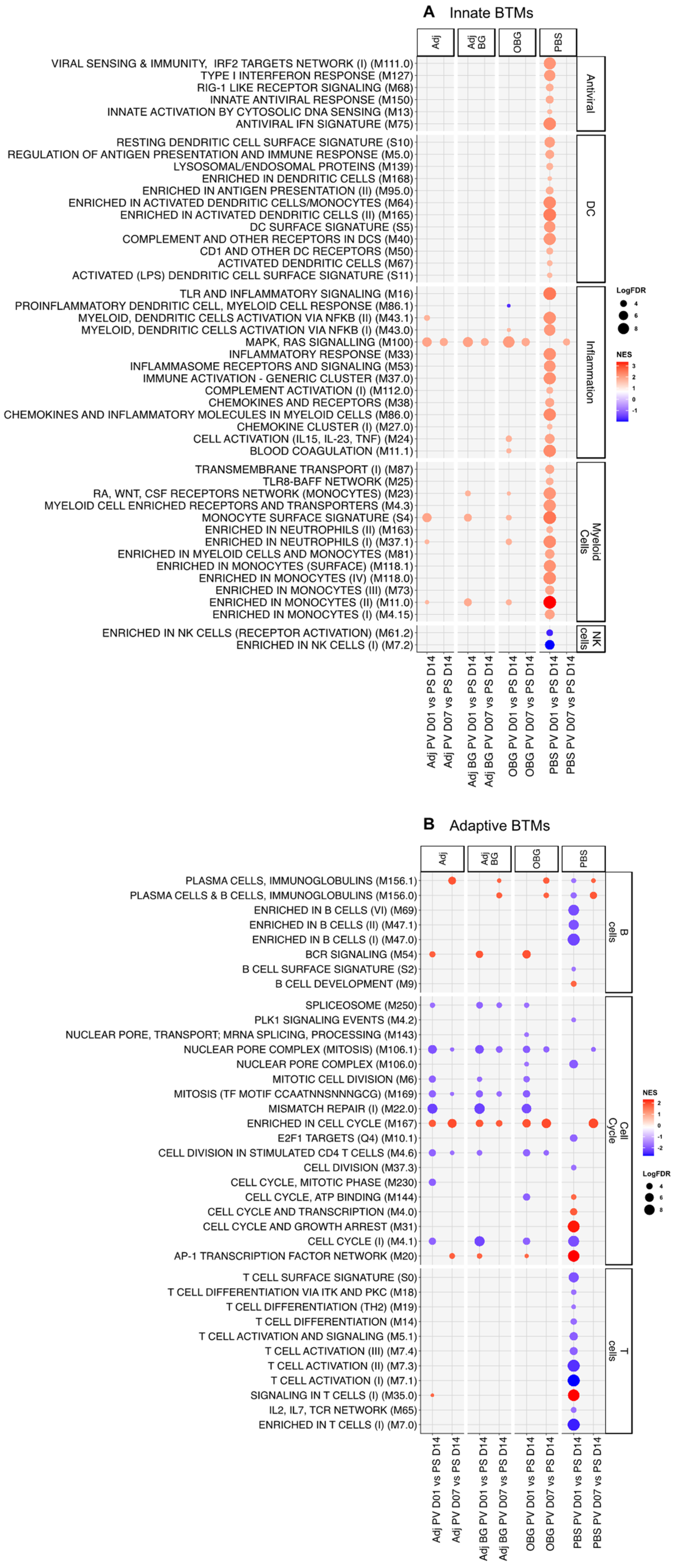Vaccines 12 00982 g005