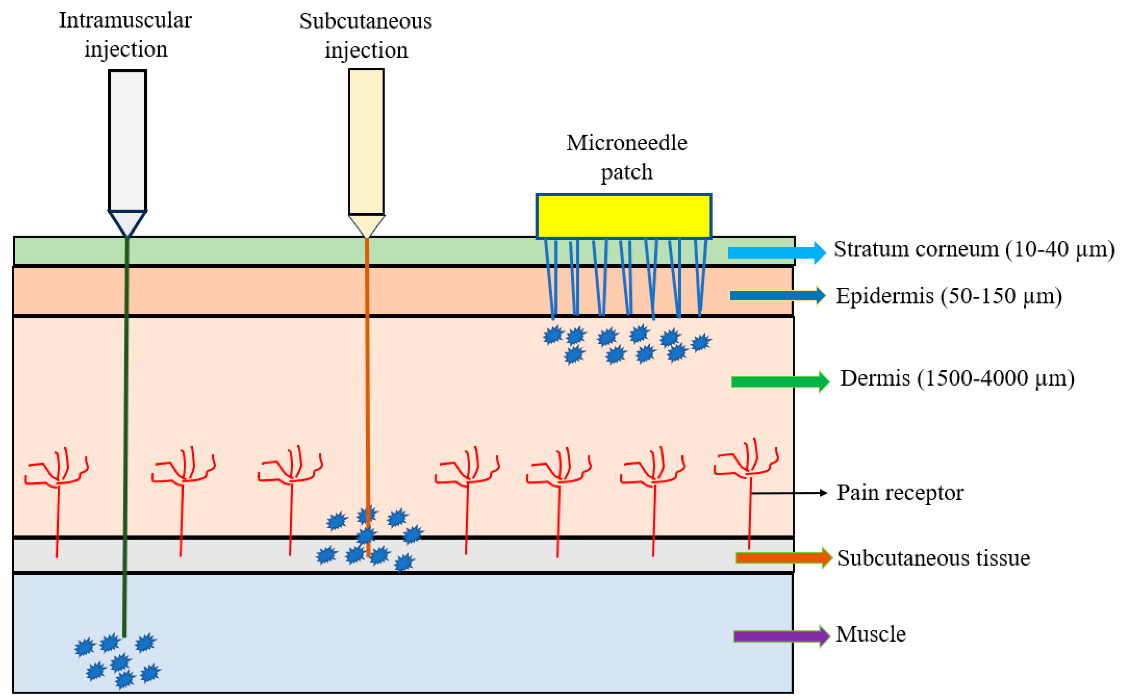 Vaccines 12 01002 g001 Vaccines 12 01002 g001