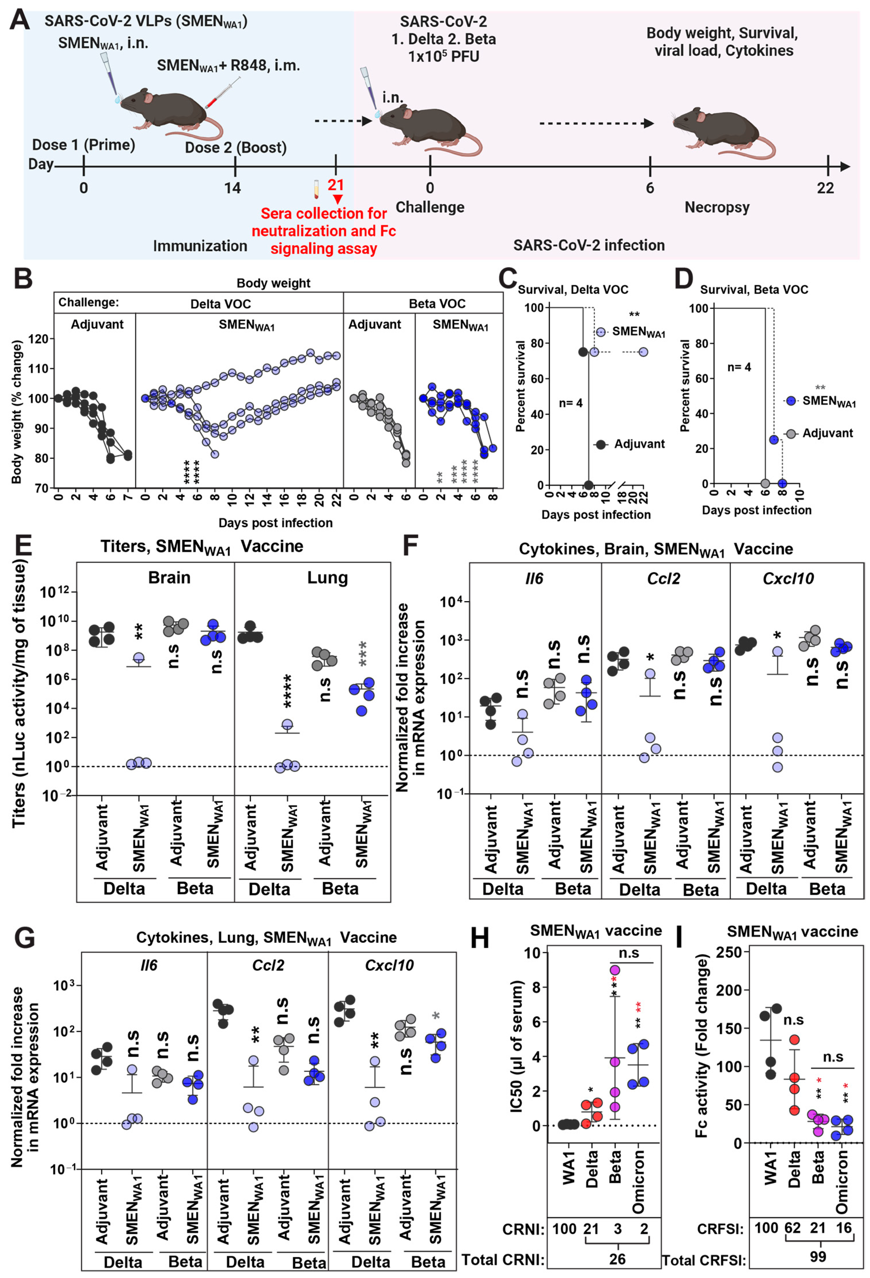 Vaccines 12 01007 g004