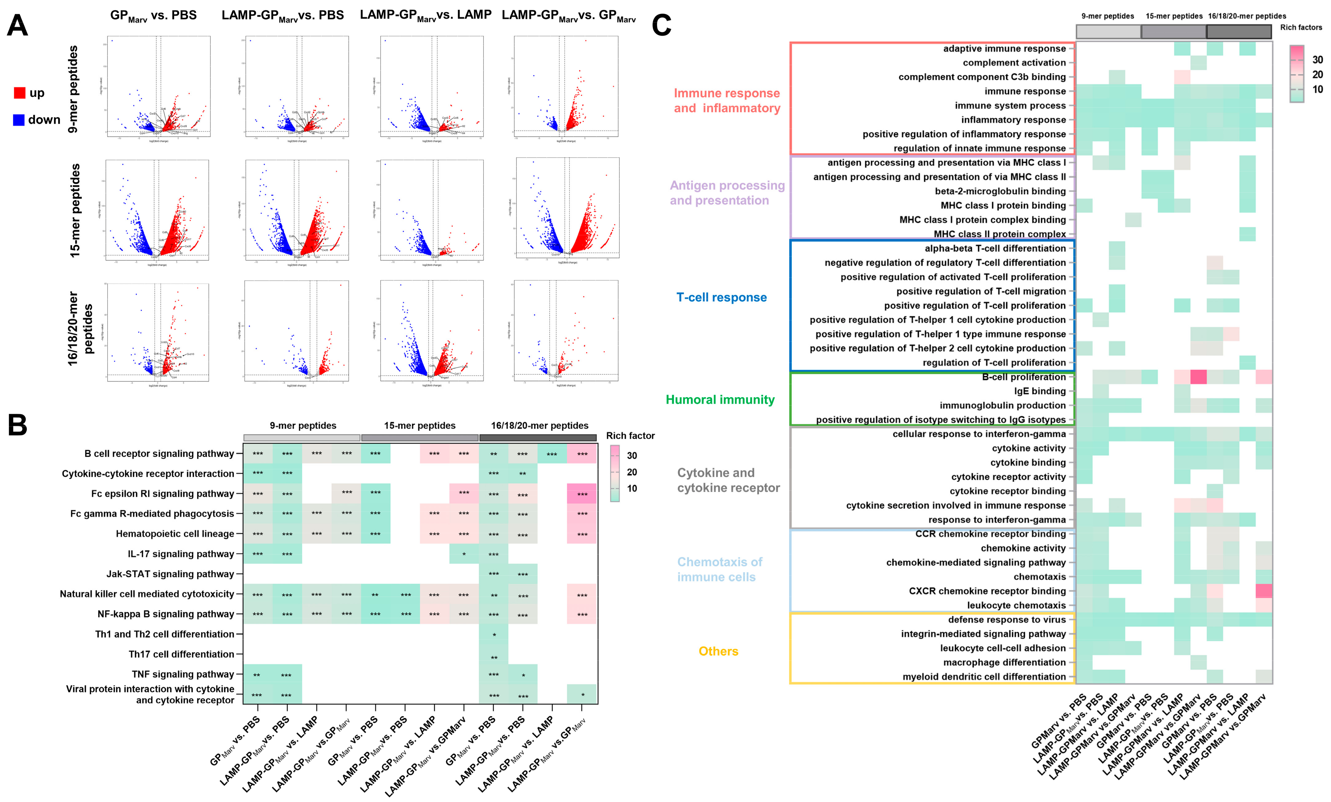 Vaccines 12 01013 g005