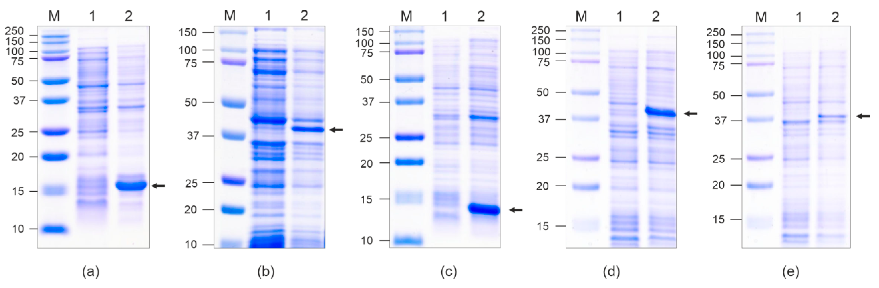 Vaccines 12 01033 g002