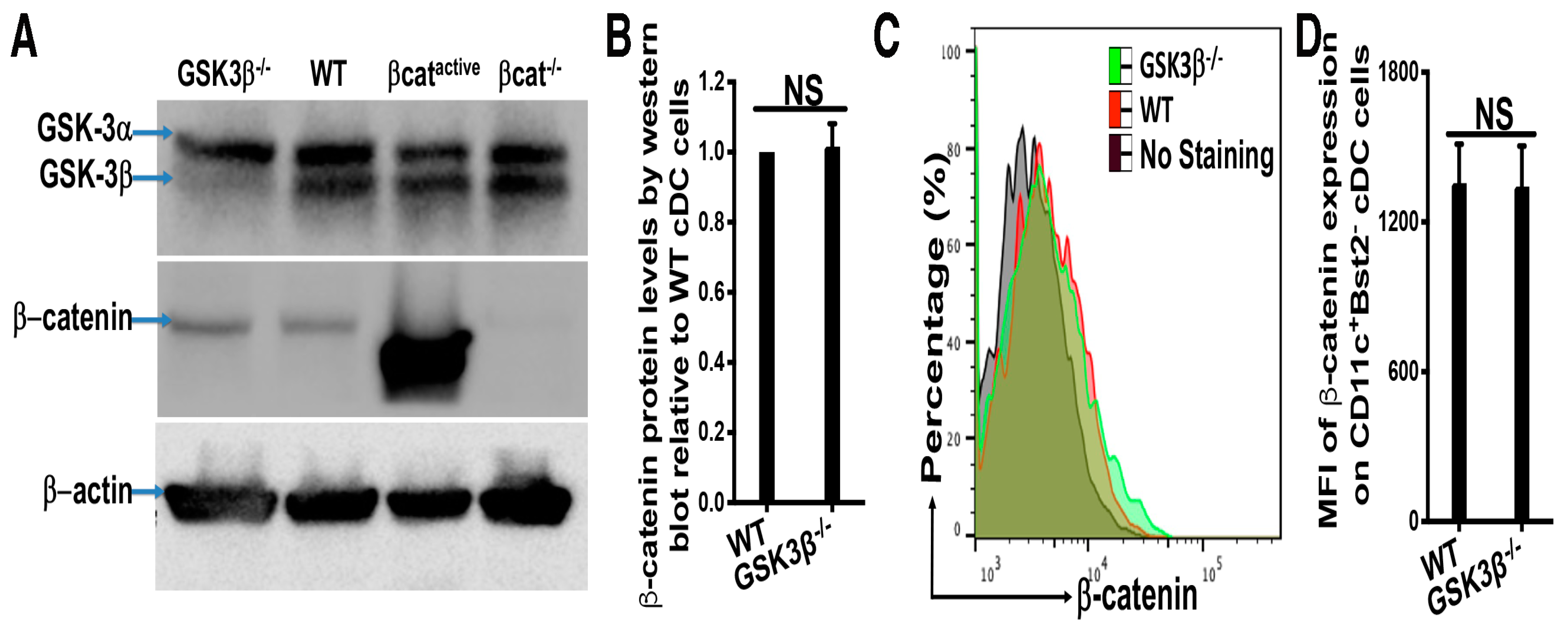 Vaccines 12 01037 g003