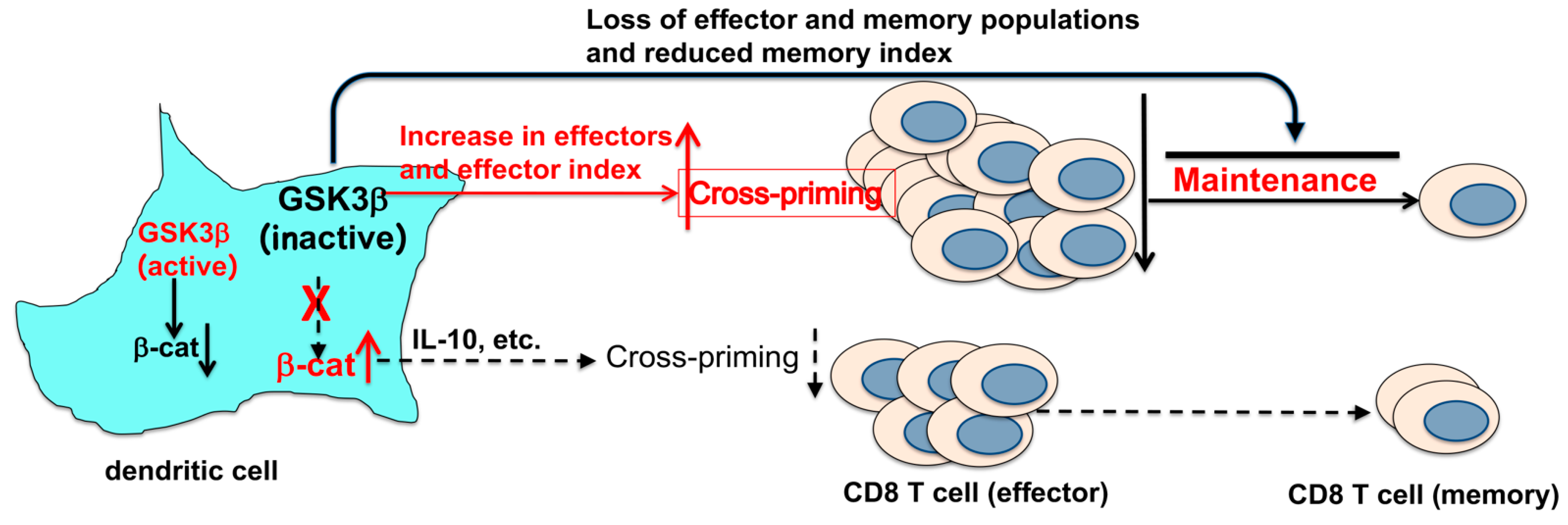 Vaccines 12 01037 g006