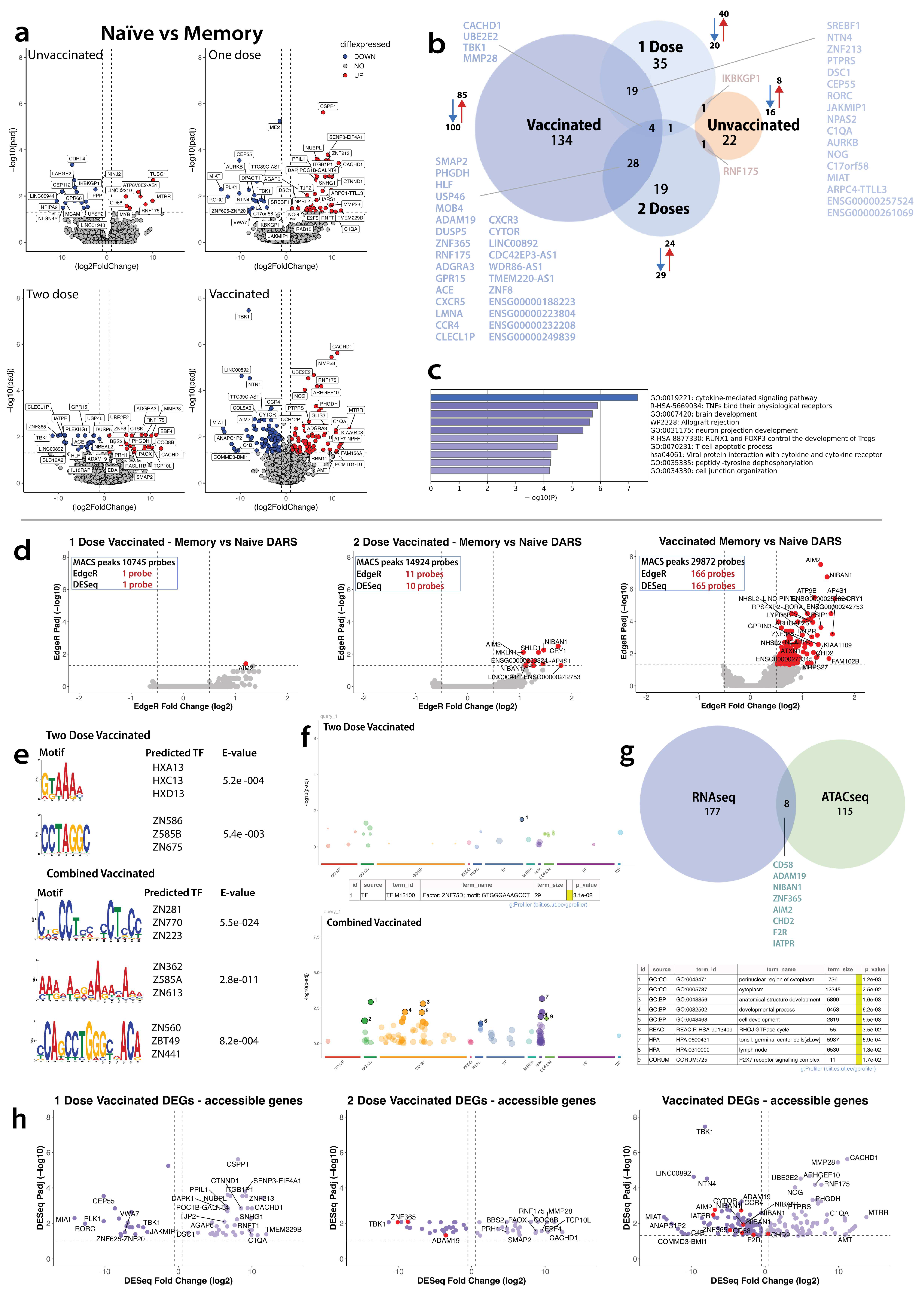 Vaccines 12 01040 g003