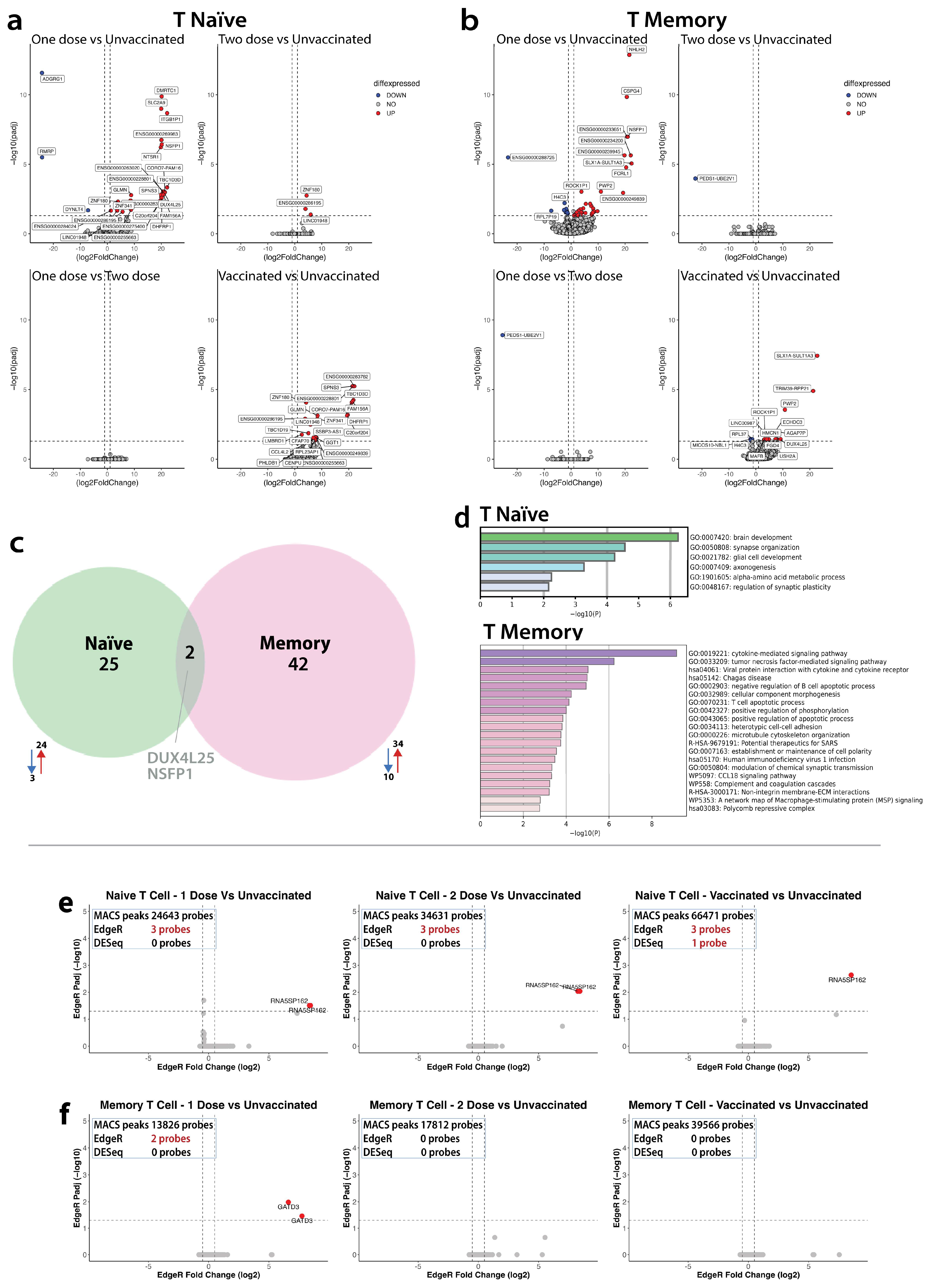 Vaccines 12 01040 g004