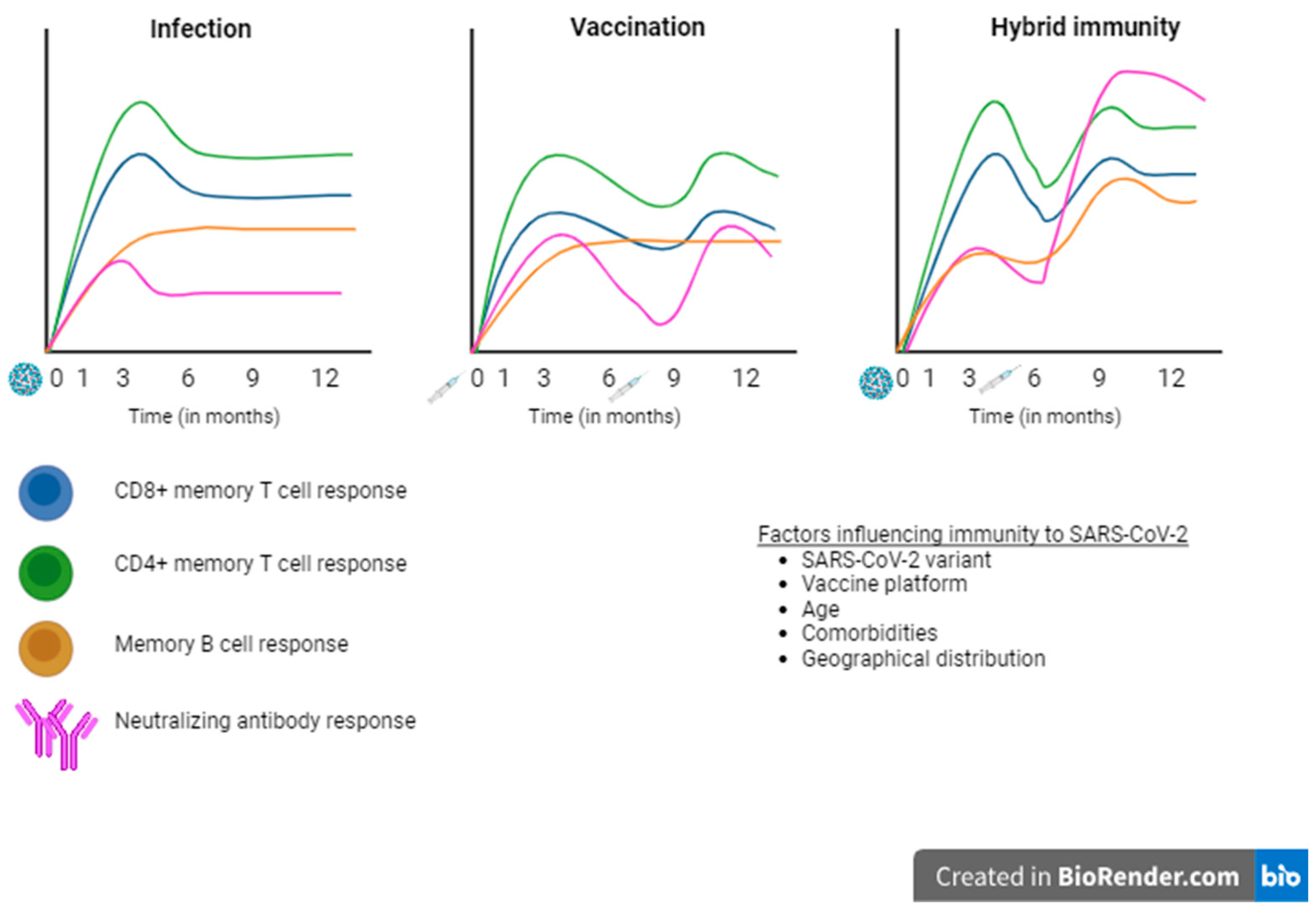 Vaccines 12 01051 g001