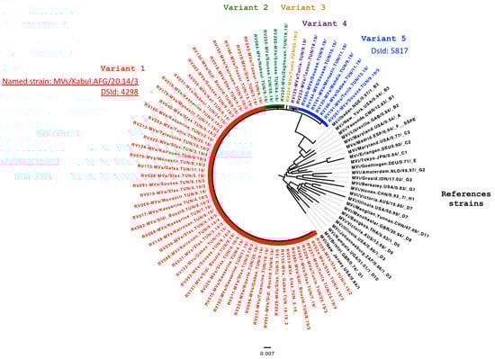 Vaccines 12 01085 g002