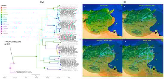 Vaccines 12 01085 g005