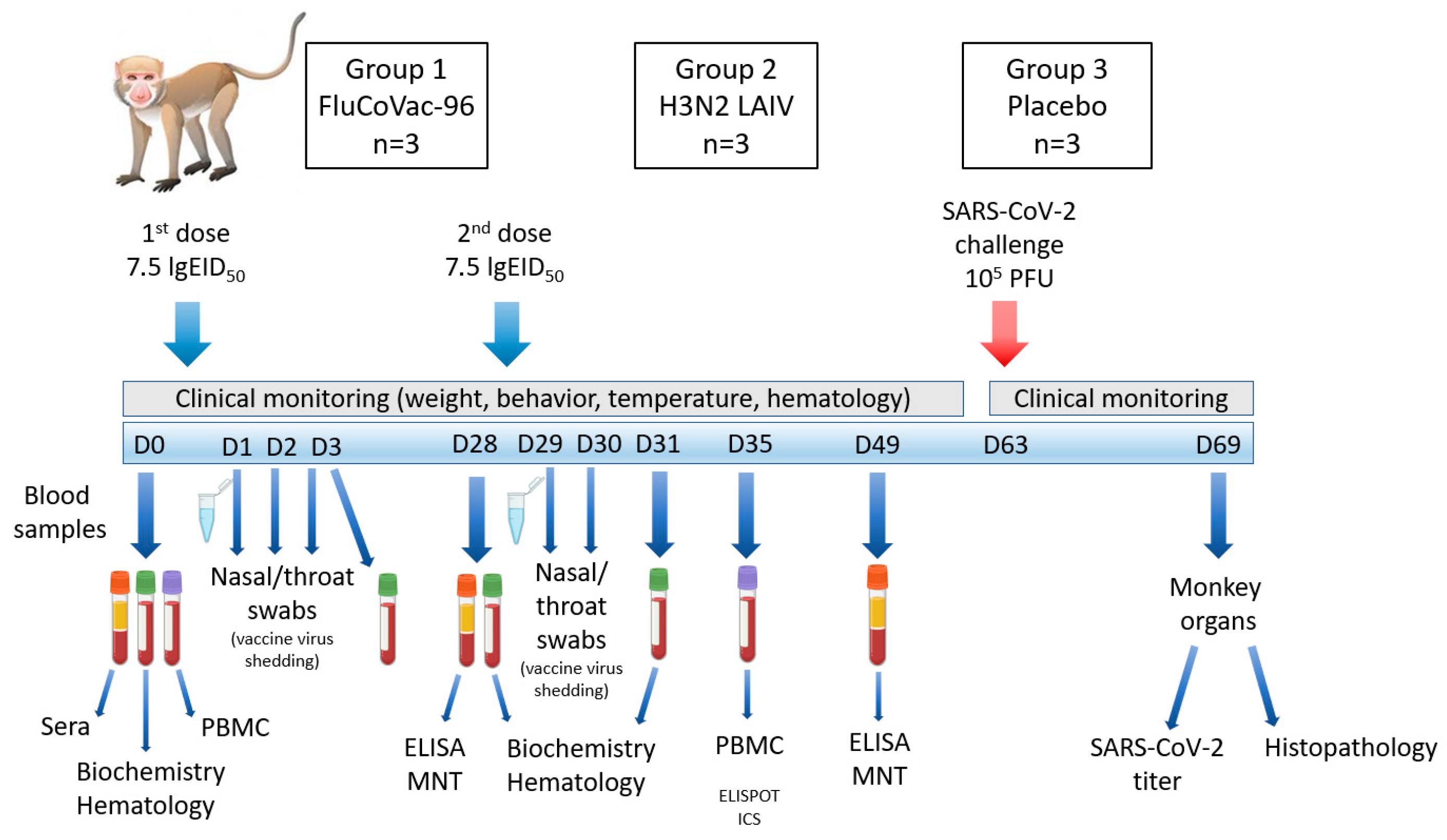 Vaccines 12 01099 g001