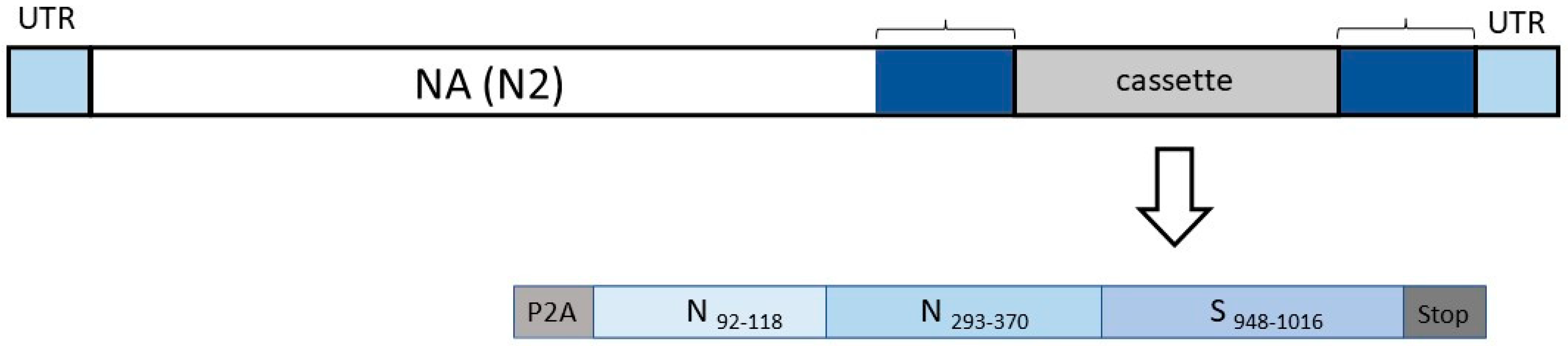 Vaccines 12 01099 g002