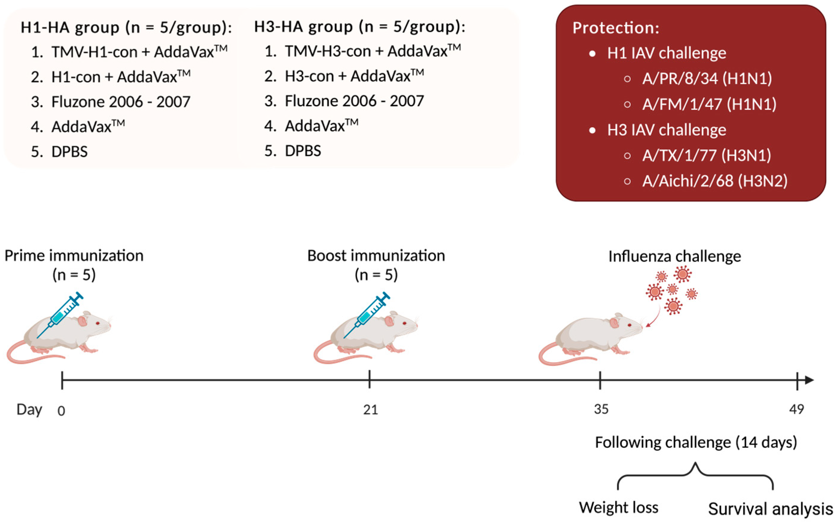 Vaccines 12 01100 g002