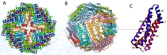 Vaccines 12 01112 g001