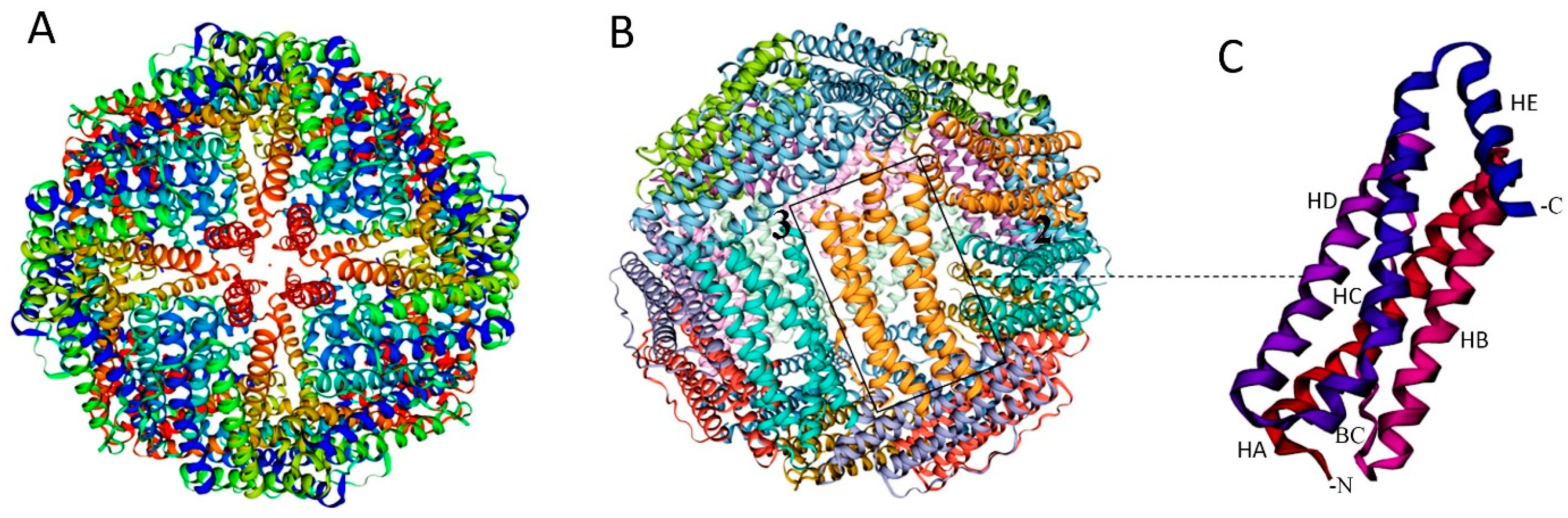 Vaccines 12 01112 g001