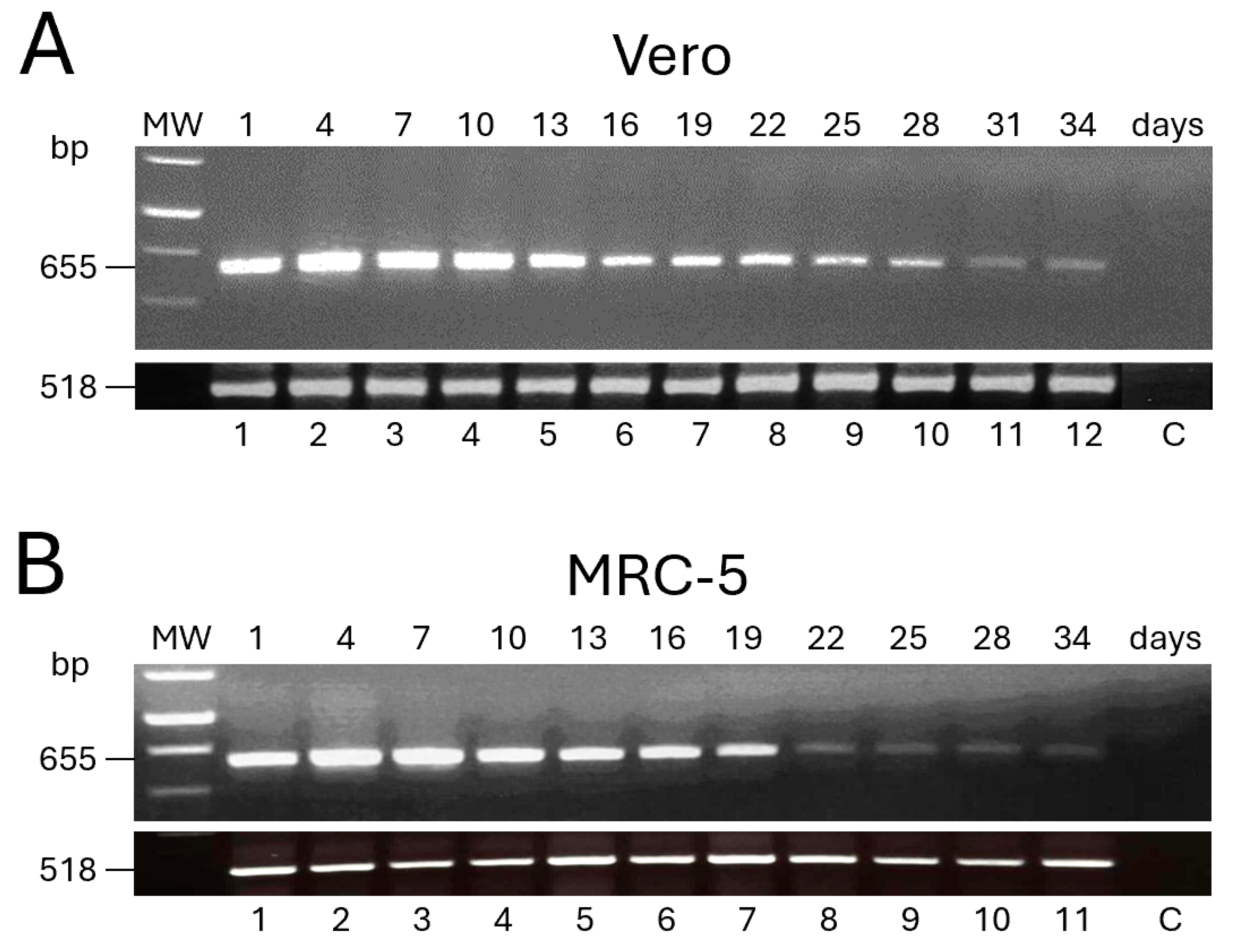 Vaccines 12 01115 g002