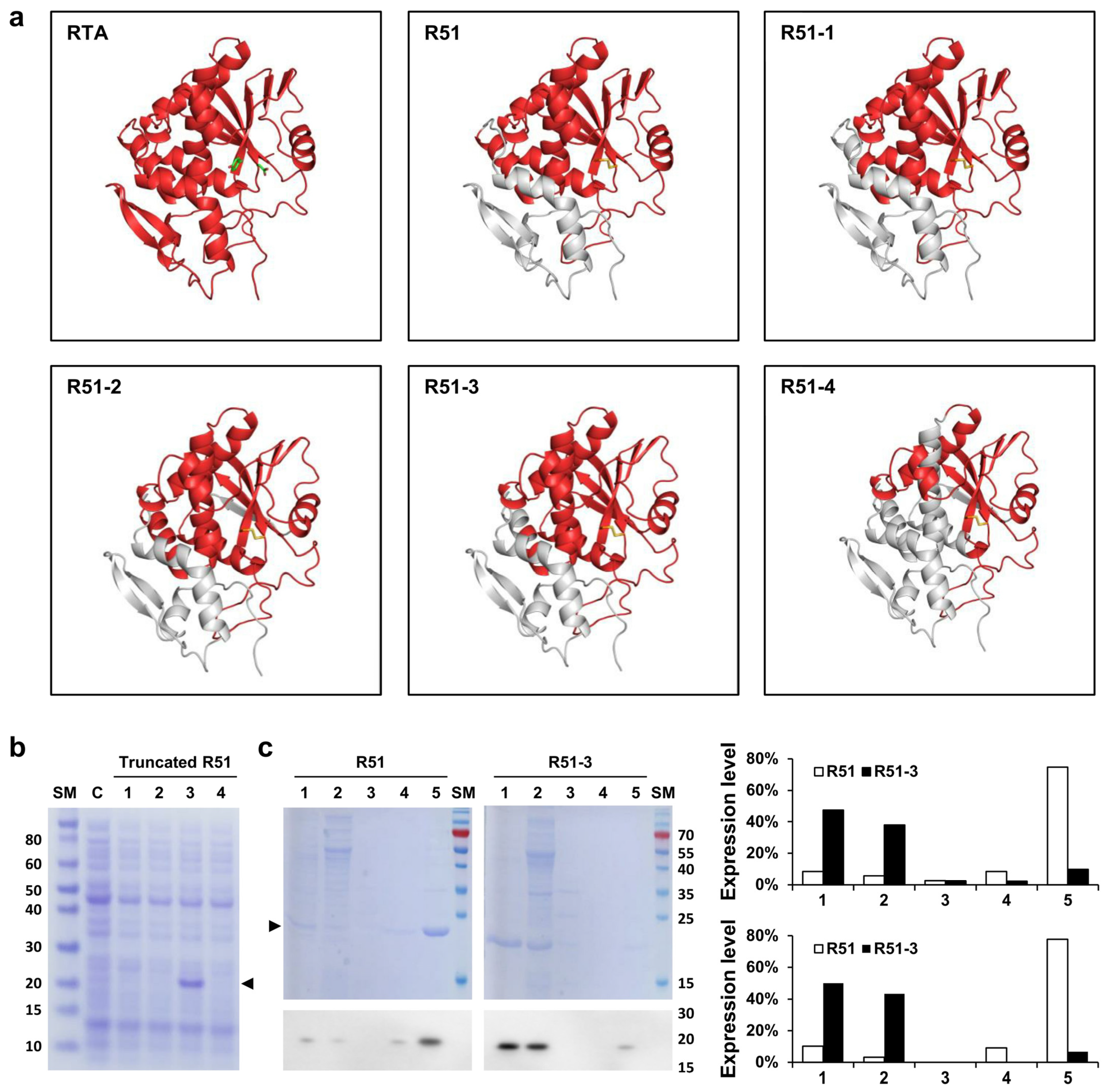 Vaccines 12 01116 g002 Vaccines 12 01116 g002