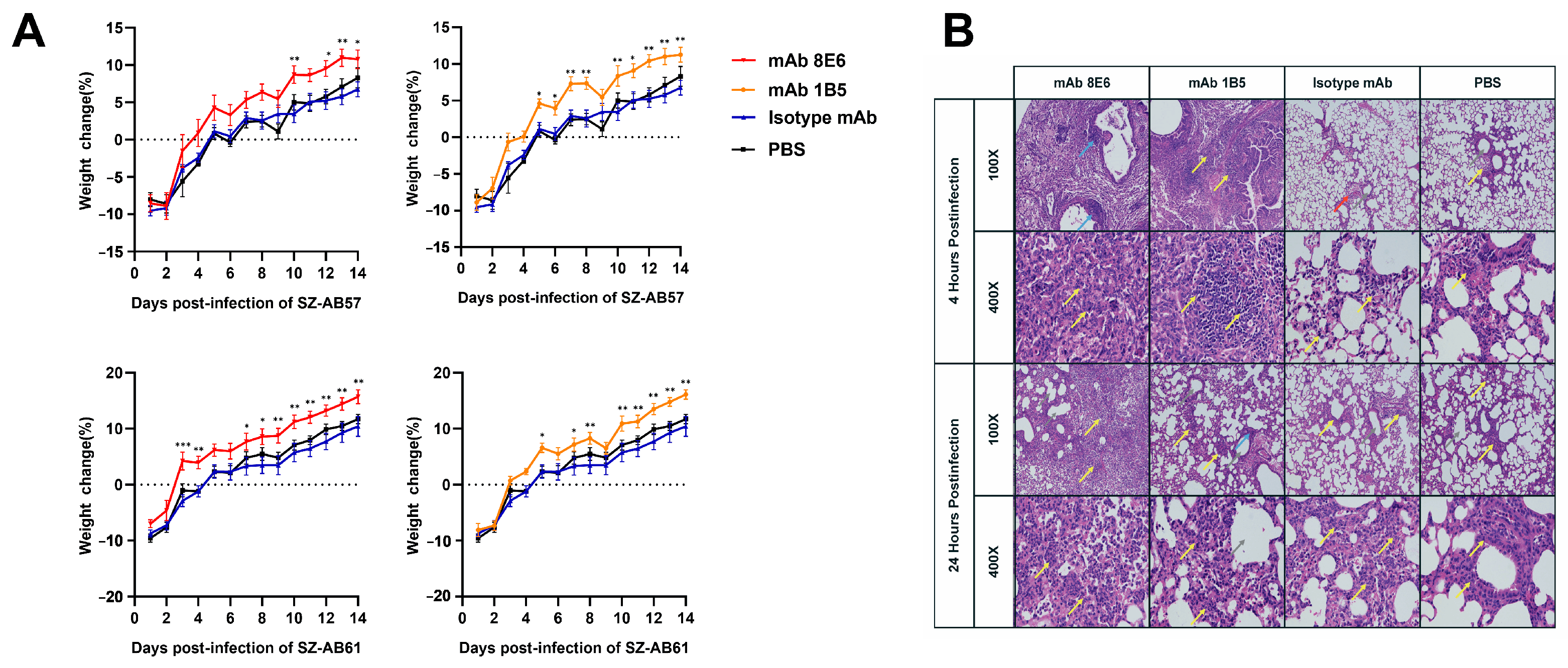 Vaccines 12 01120 g004