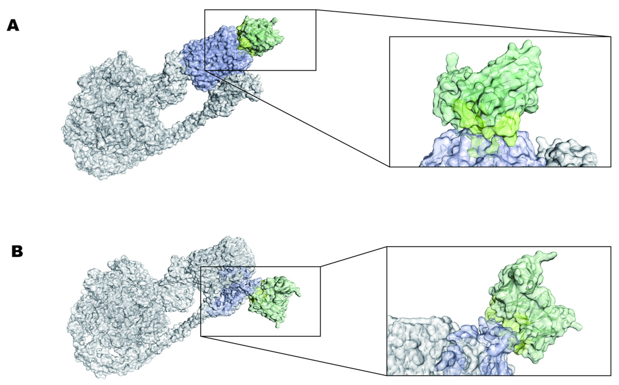 Vaccines 12 01120 g008